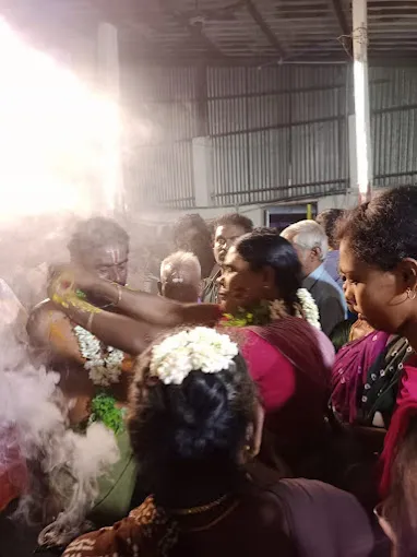 Image of: Arulmigu Ponnalagu Papathi Temple In Alwarpuram