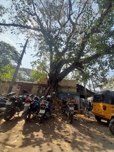 Image of: Arulmigu Sri Arasamaram Pillaiyar Temple In Madurai 6