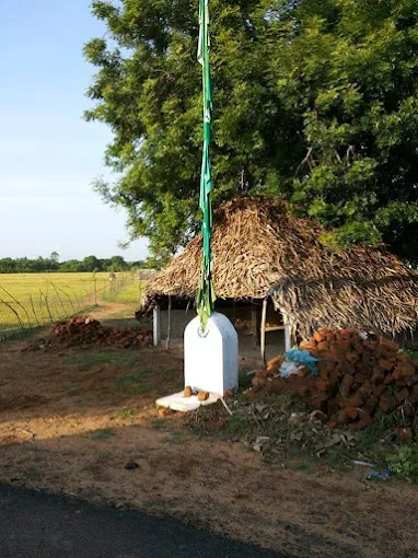 Image of: Masjid Abbubakar Siddiq Rali Mosque In Madurai 3