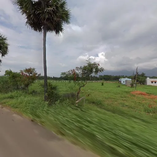 Image of: Trinity Gospel Mission In Madurai