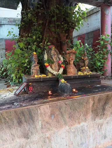 Image of: Vadaku Vaasal Chelathamman Temple In Simmakkal 2
