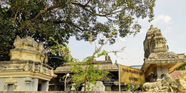 Image of: Sanghu Vinayagar Temple In Villapuram