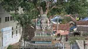 Image of: Arasamaram Vinayagar Kovil In Sakkimangalam