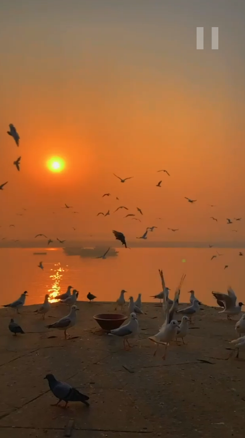 Golden Sunset Over Calm Sky Reel