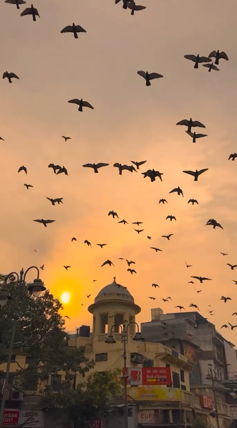 Top Tourist Places To Visit In India