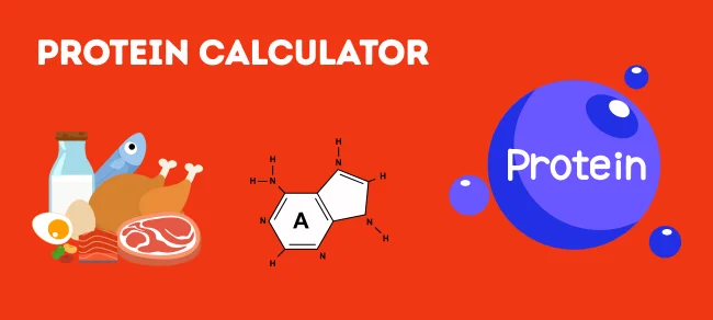Protein Calculator