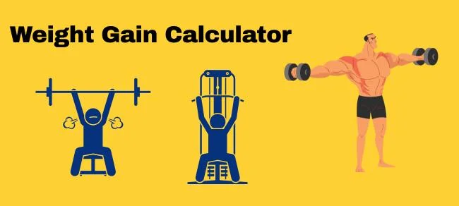 Weight Gain Calculator