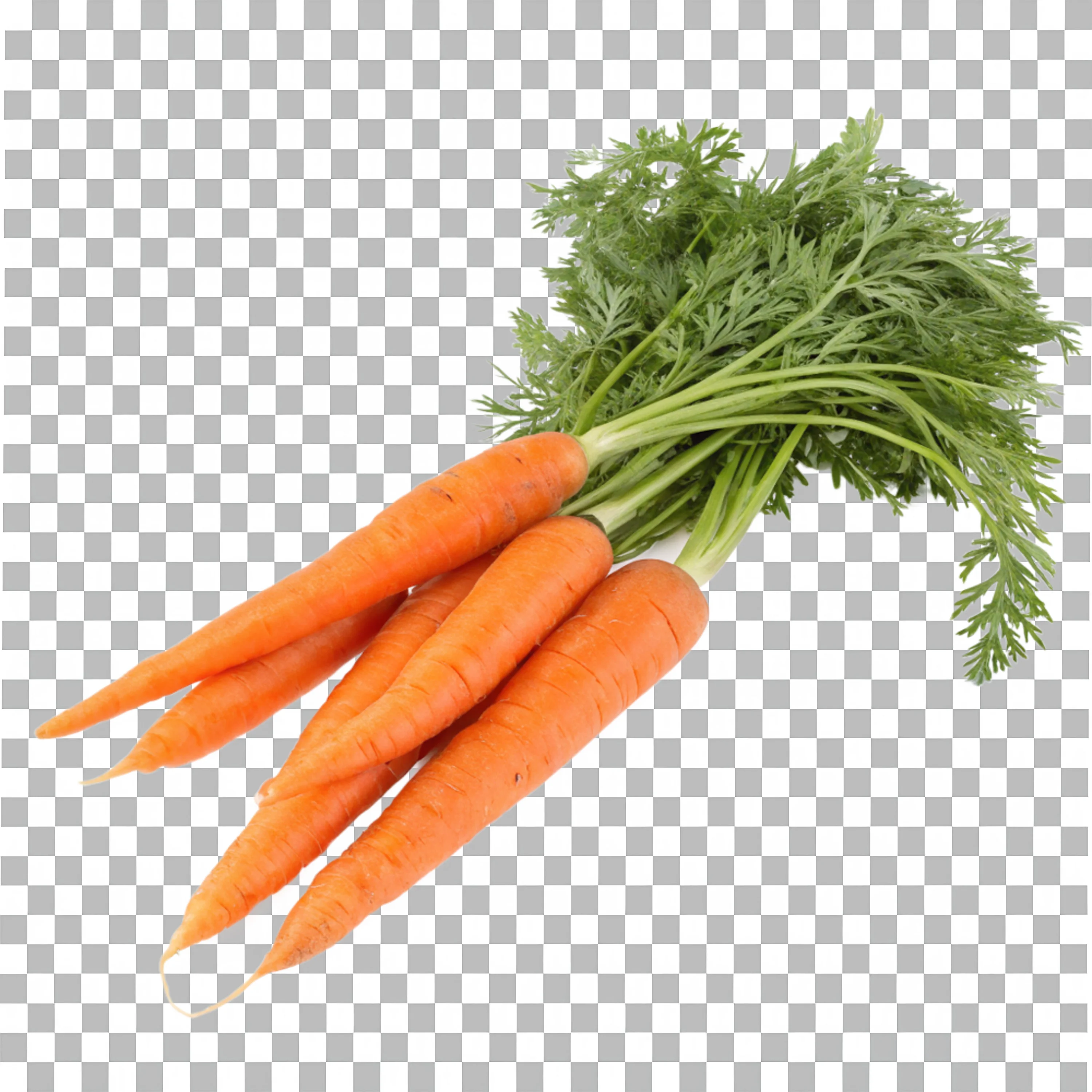 Fresh Carrot Bunch with Green Tops Transparent PNG
