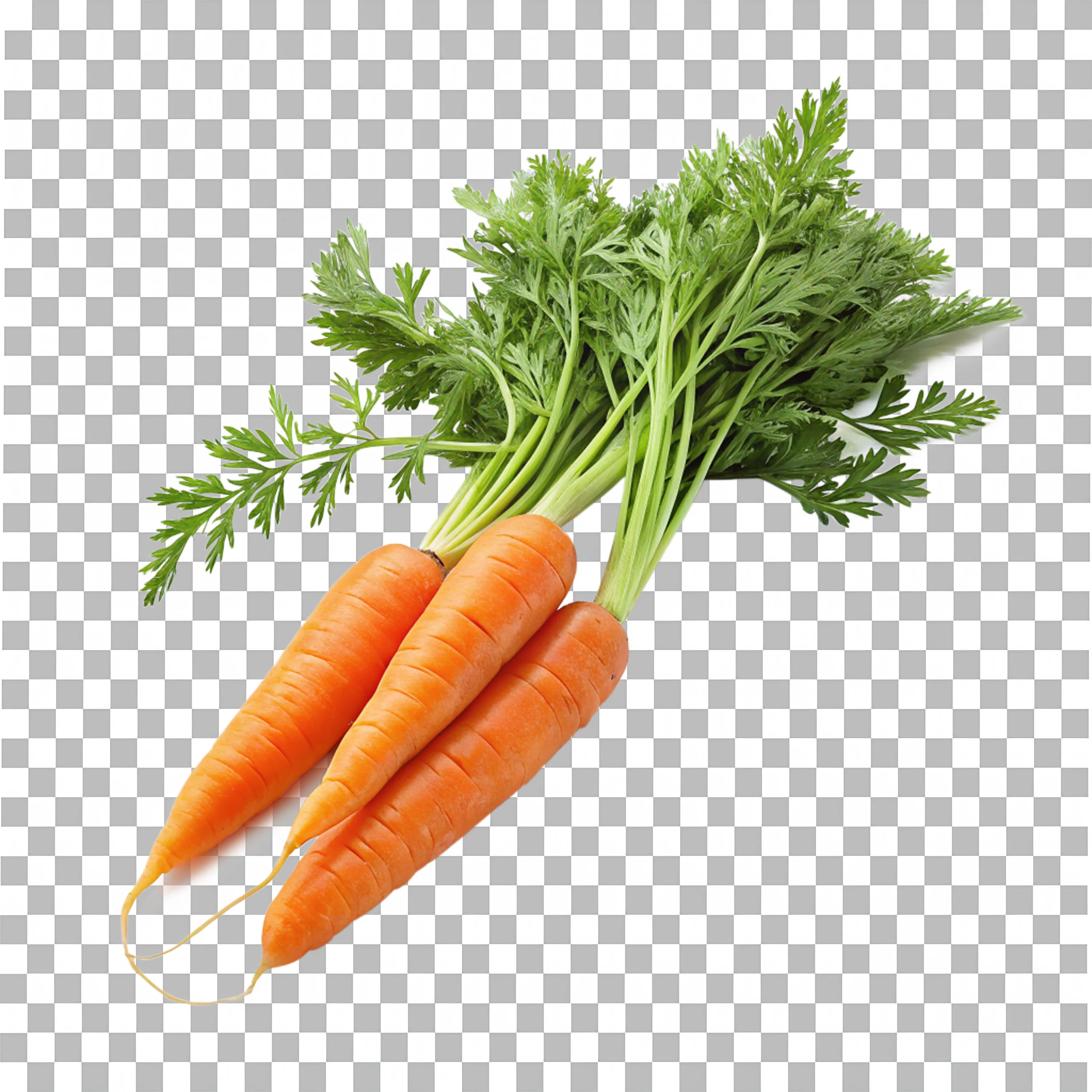 Bunch of Carrots with Greens Png