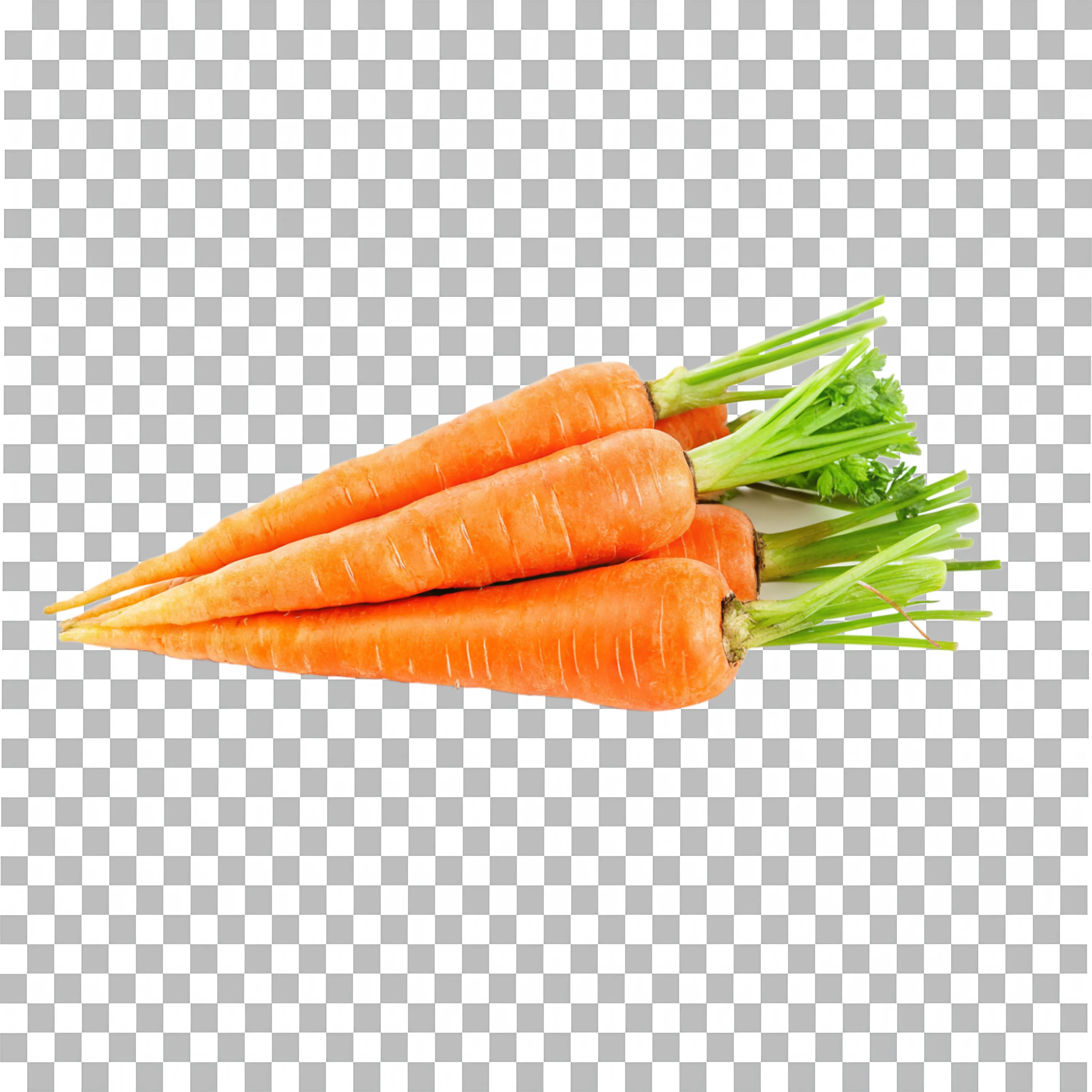 Bunch of Carrots with Tops PNG