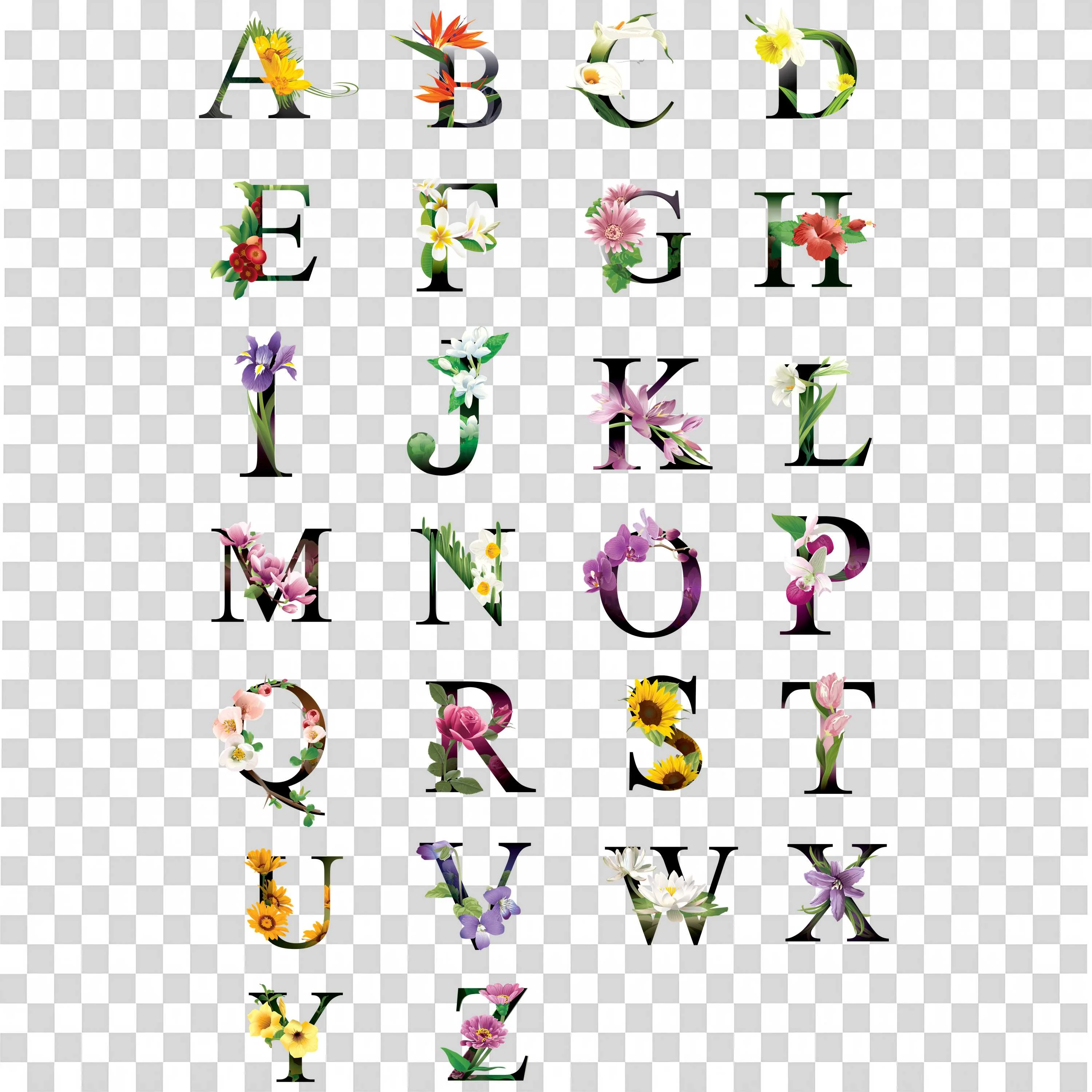 Alphabet Flowers Png on Transparent Background