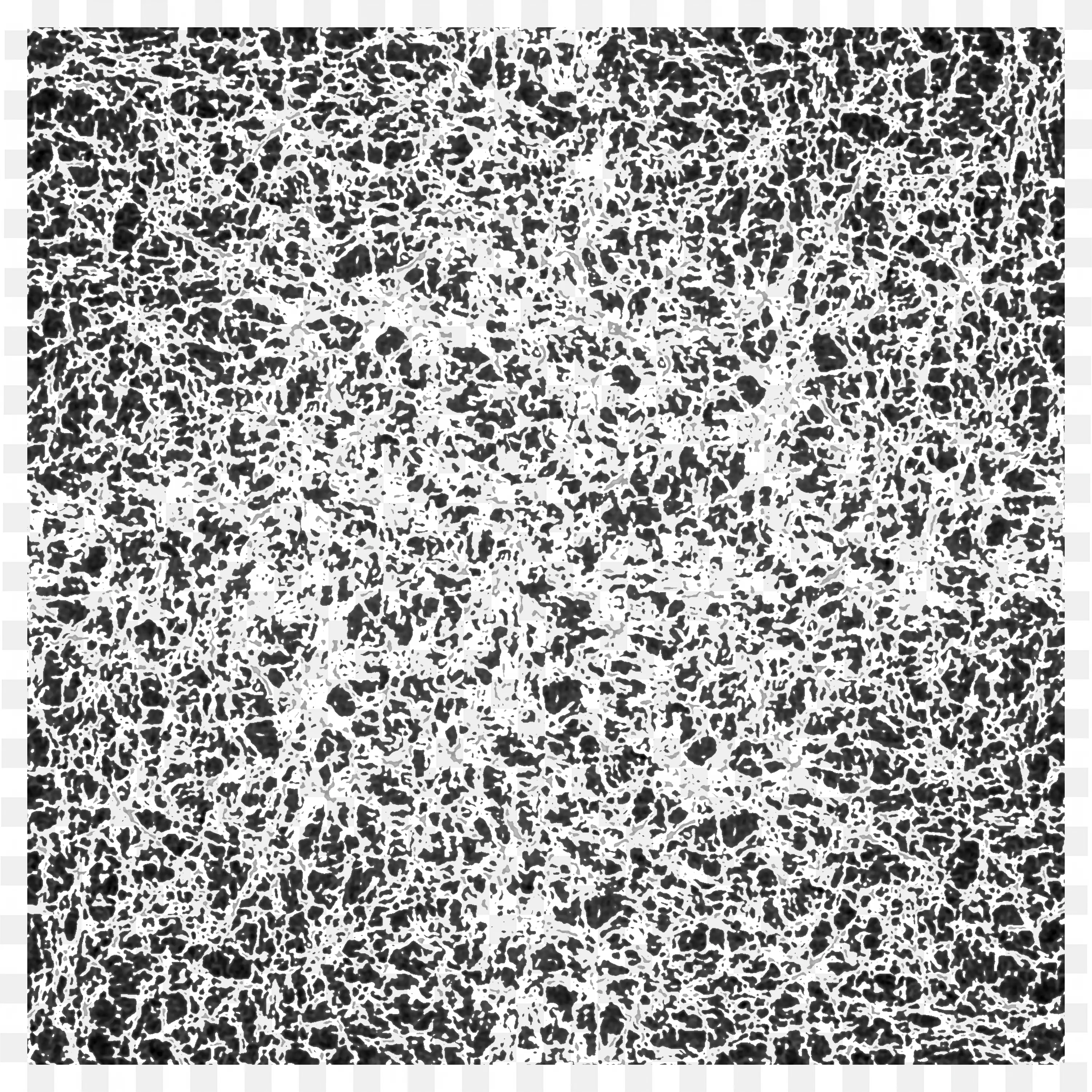 Abstract Black and White Fibers Texture for Background Use