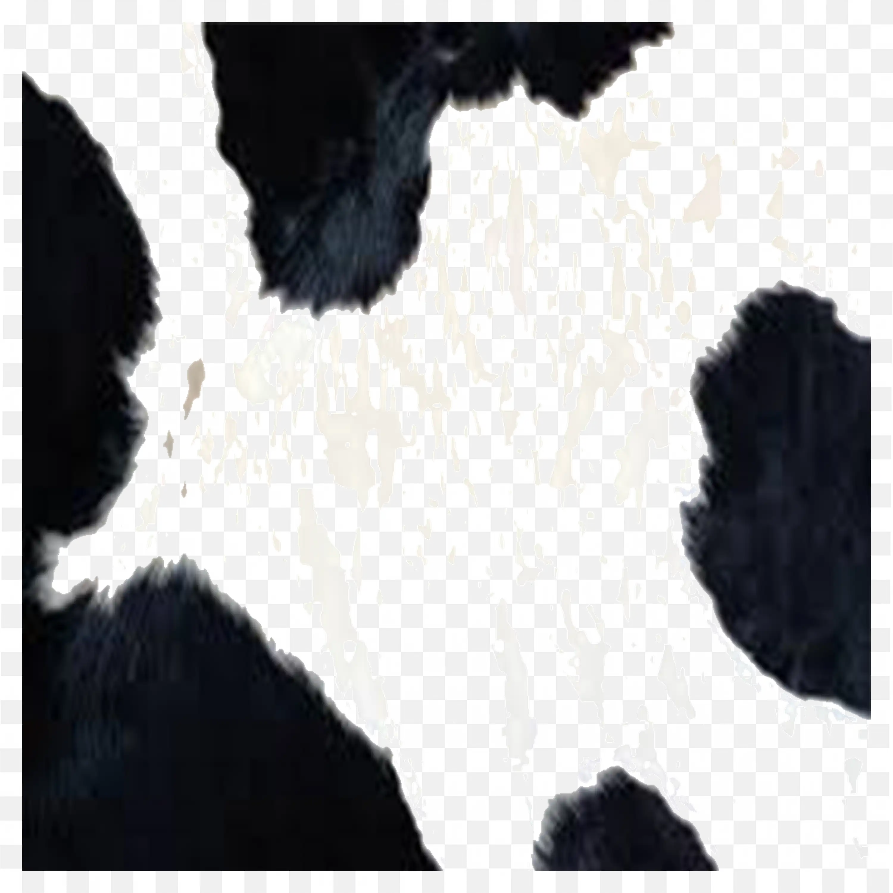 Black and White Cowhide Fur Texture for Design Background