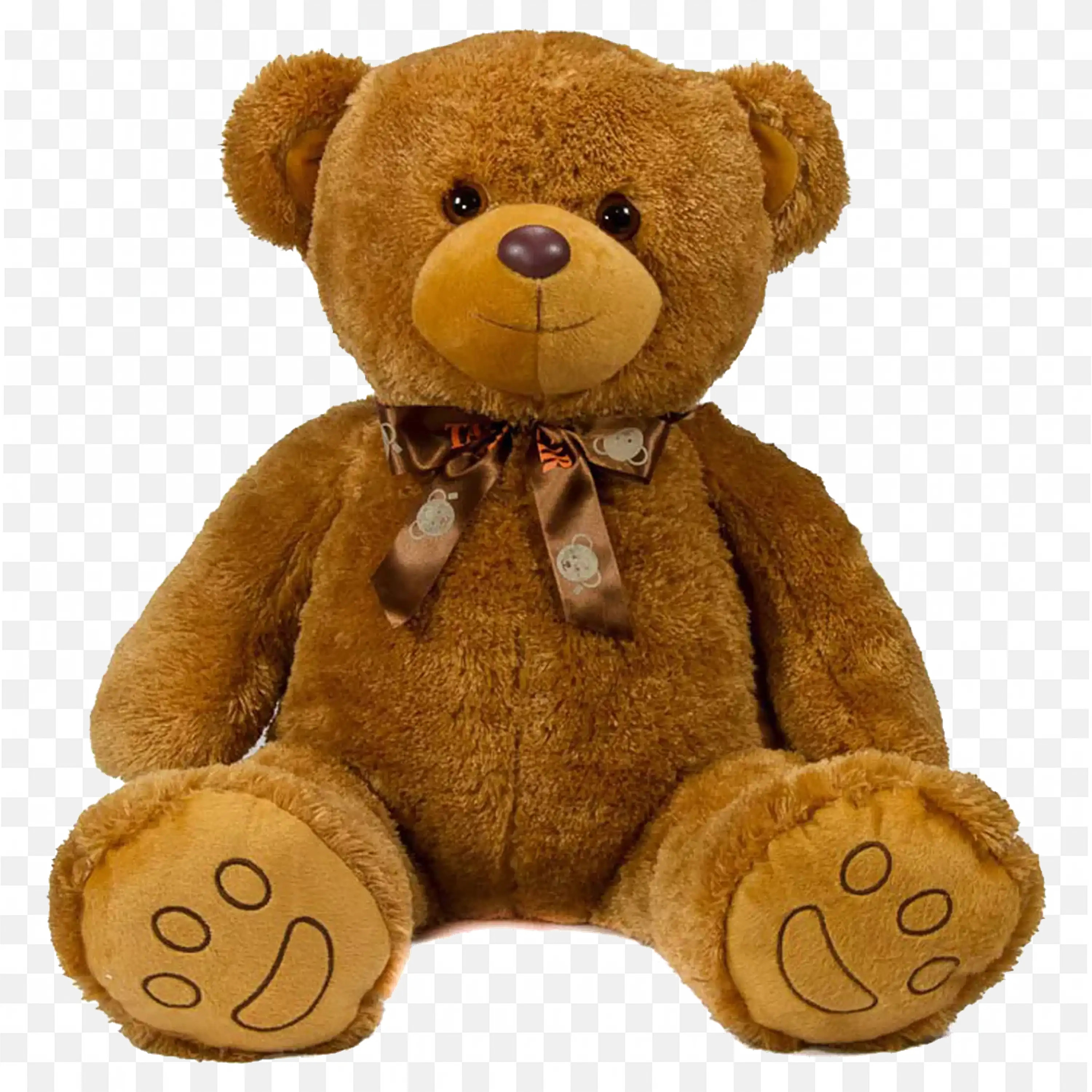 Adorable Brown Teddy Bear with Tie and Prints Free Png