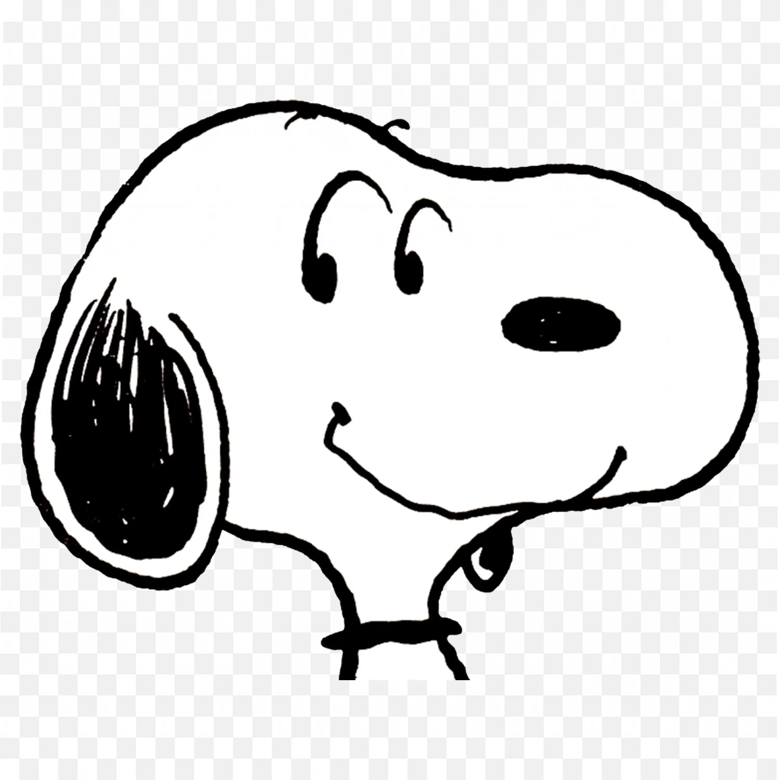 Close Up Face Image of the Snoopy Character Free Png Image
