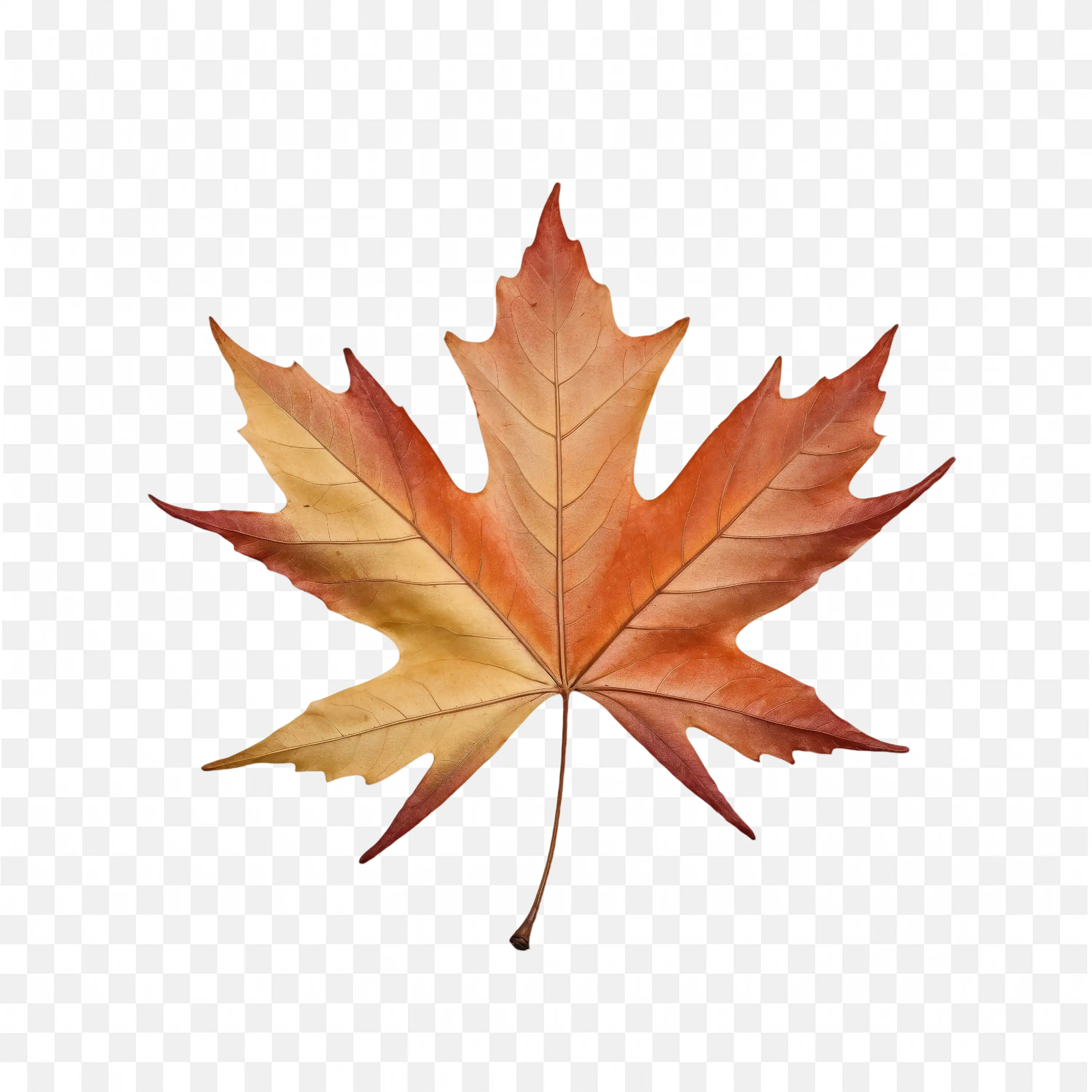 Autumn Maple Leaf with Warm Orange Brown Tones Free PNG