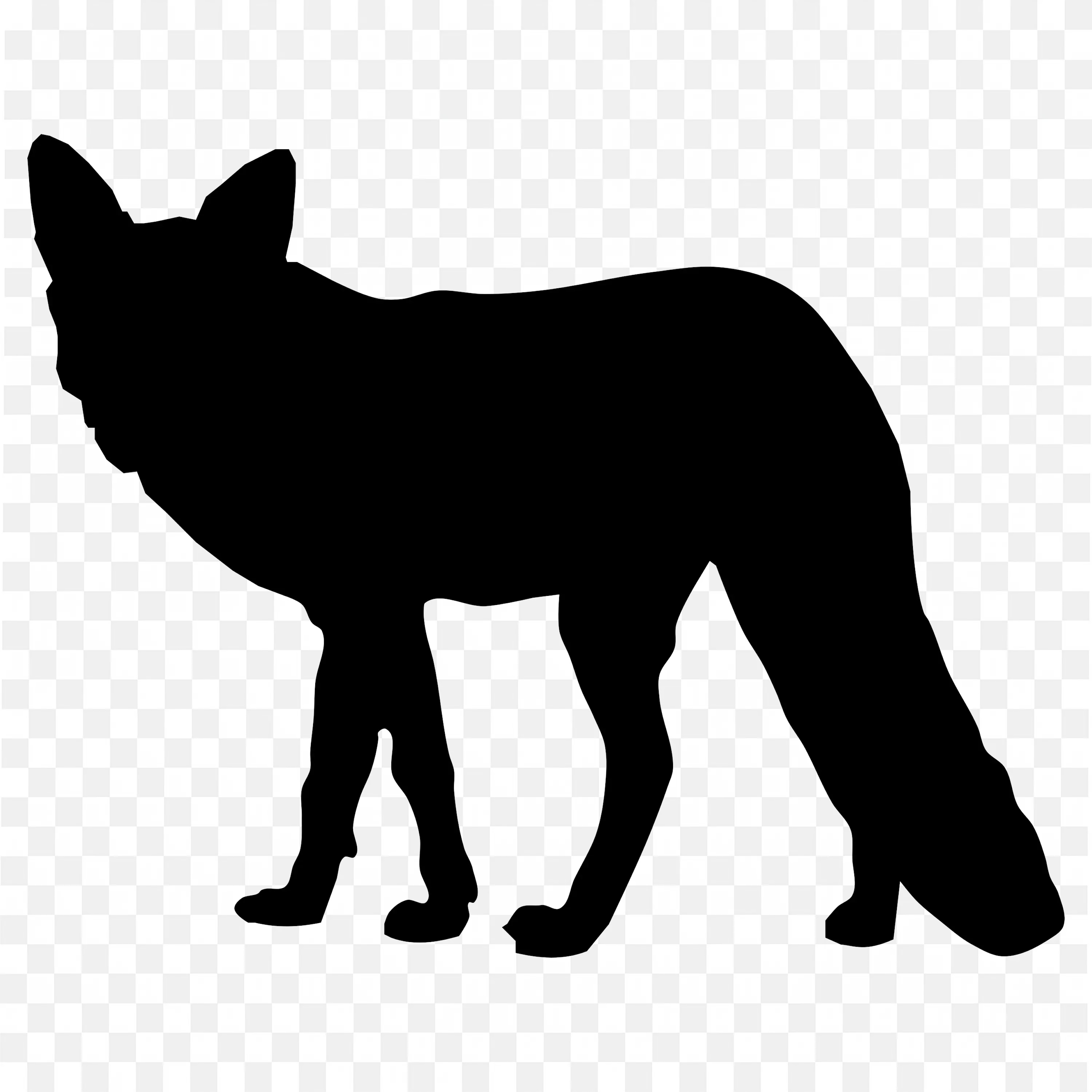 Black Fox with a Furious Look Png for Free Download