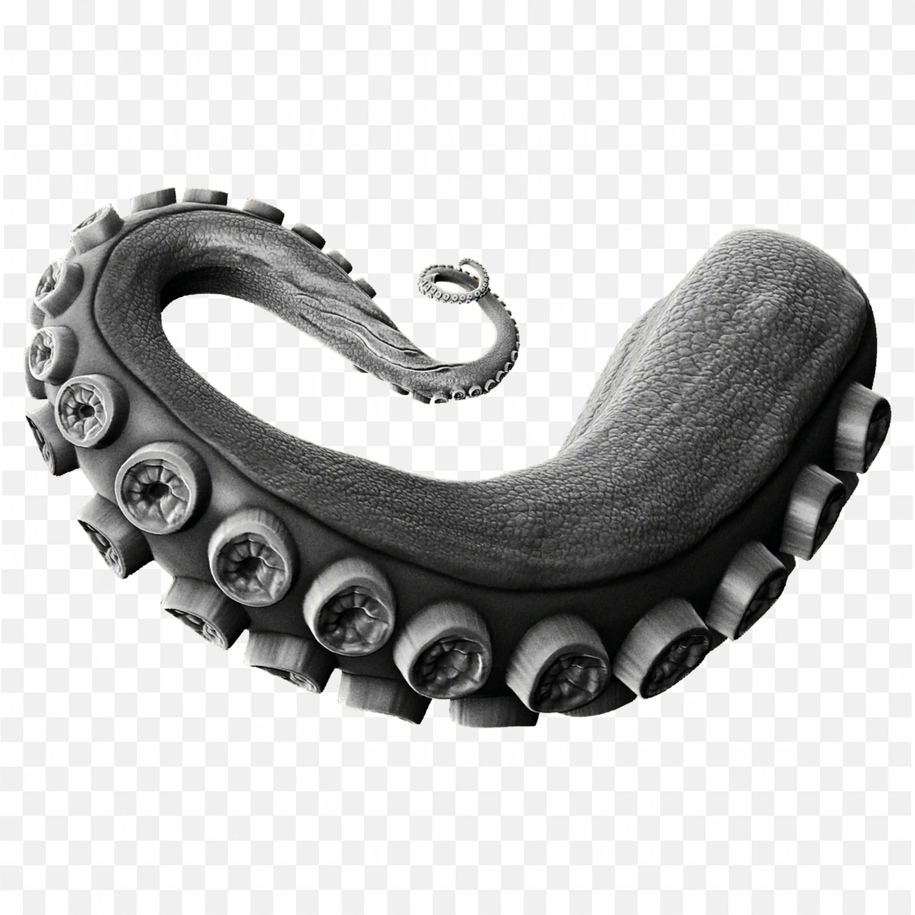 Black Octopus Tentacle on White Background Free PNG Image
