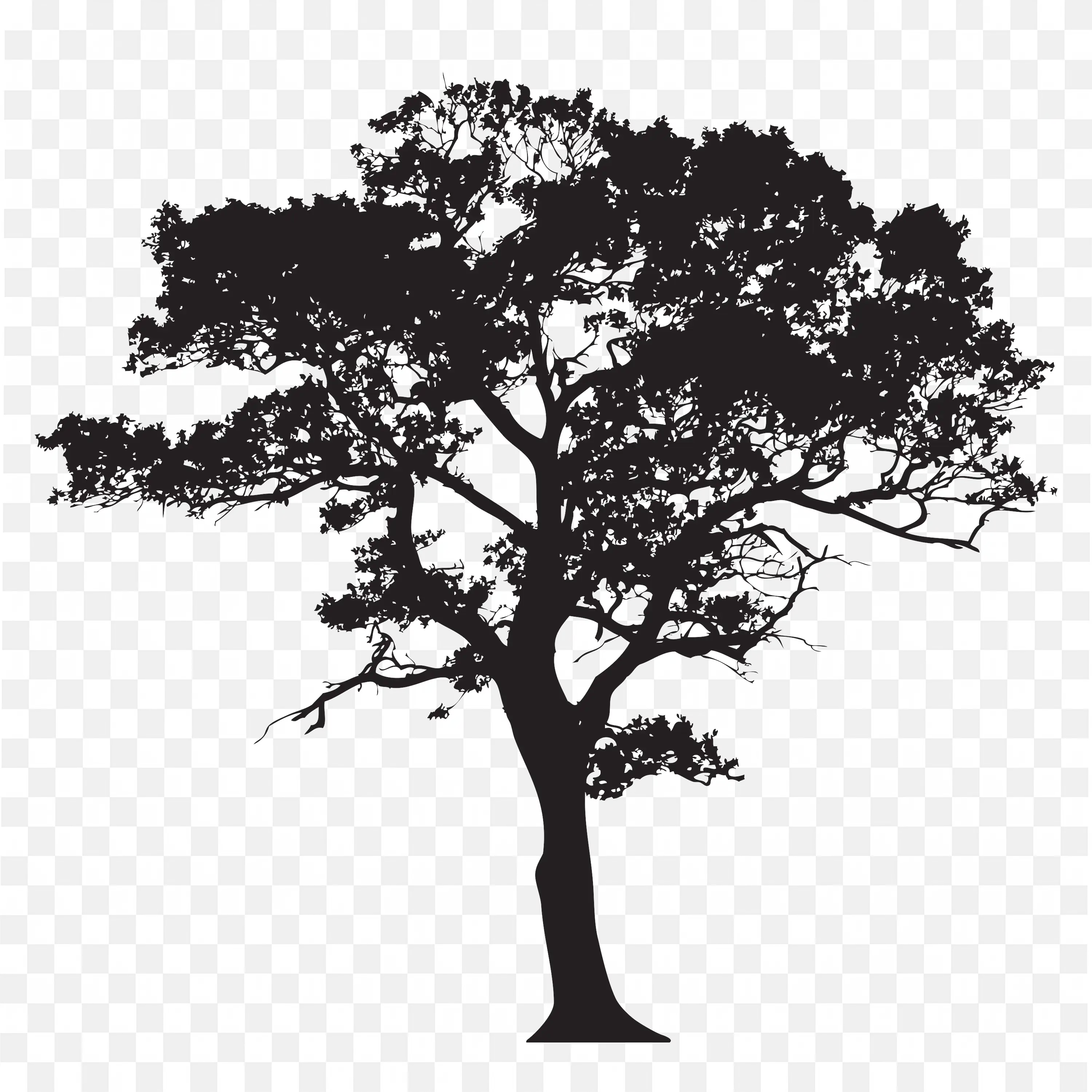 Black Shadow of a Large Spreading Tree Clip Art Free PNG