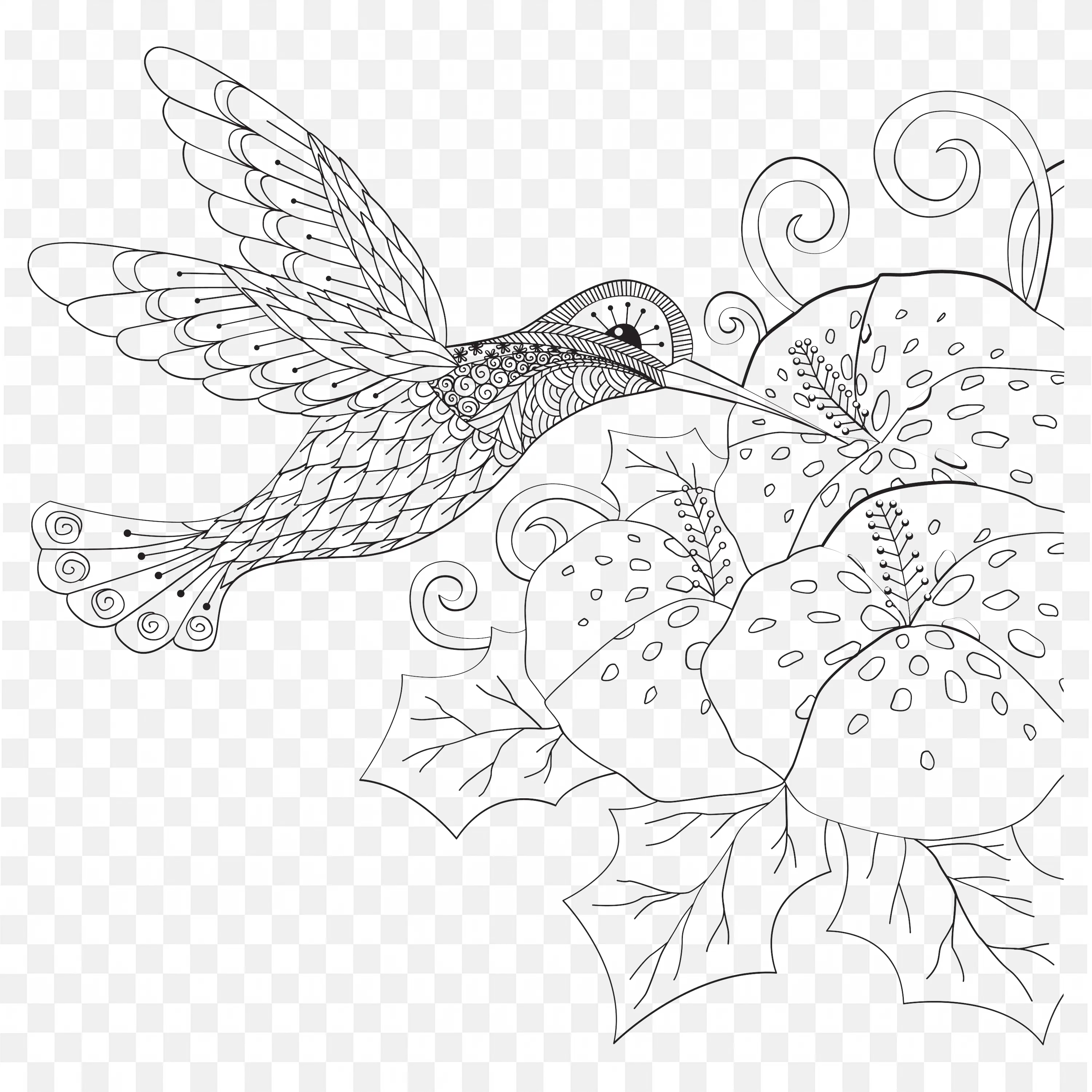 Black and White Hummingbird Line Art Feeding on Flowers