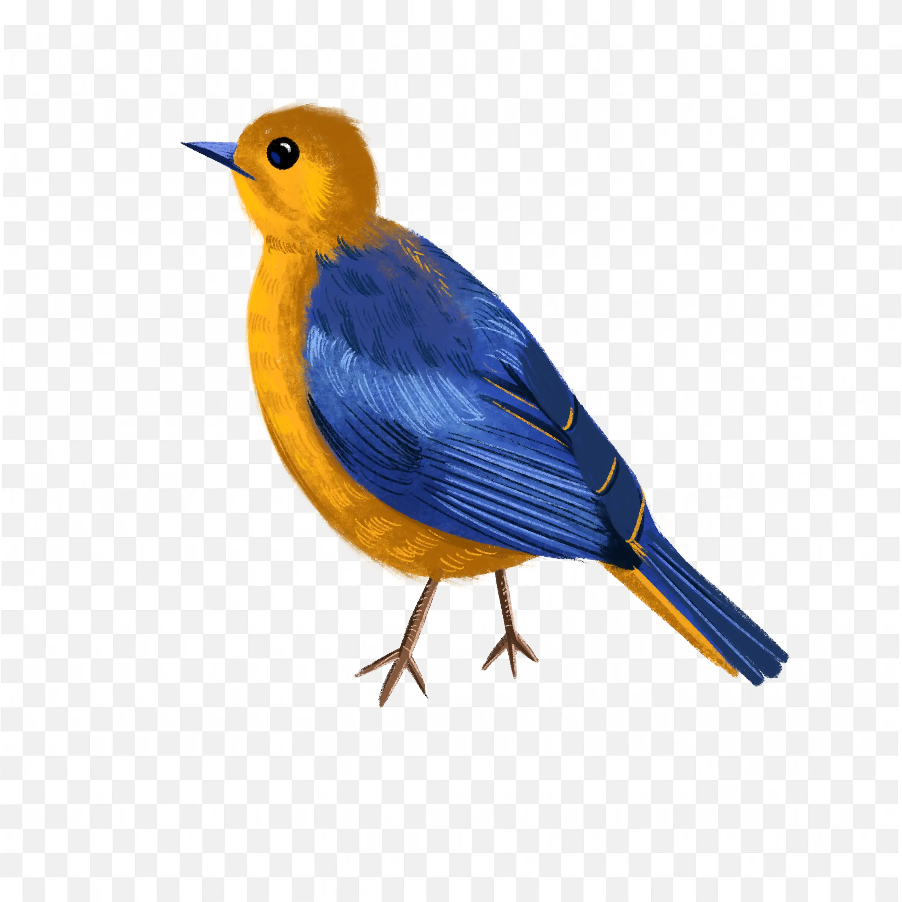 Blue with a Yellow Colour Bird Standing in White Backdrop
