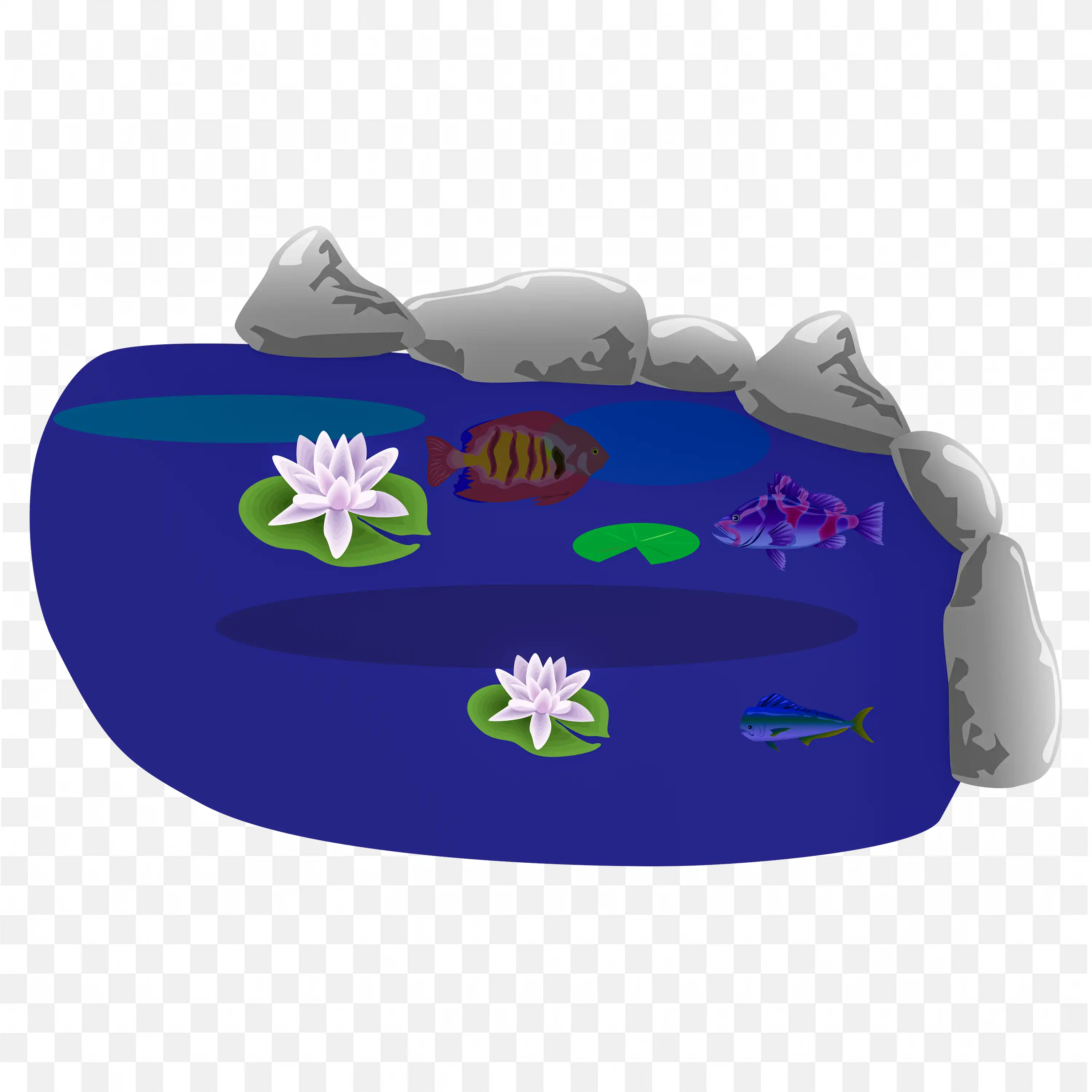 Cartoon Pond with Fish Water Lilies and Gray Rocks PNG