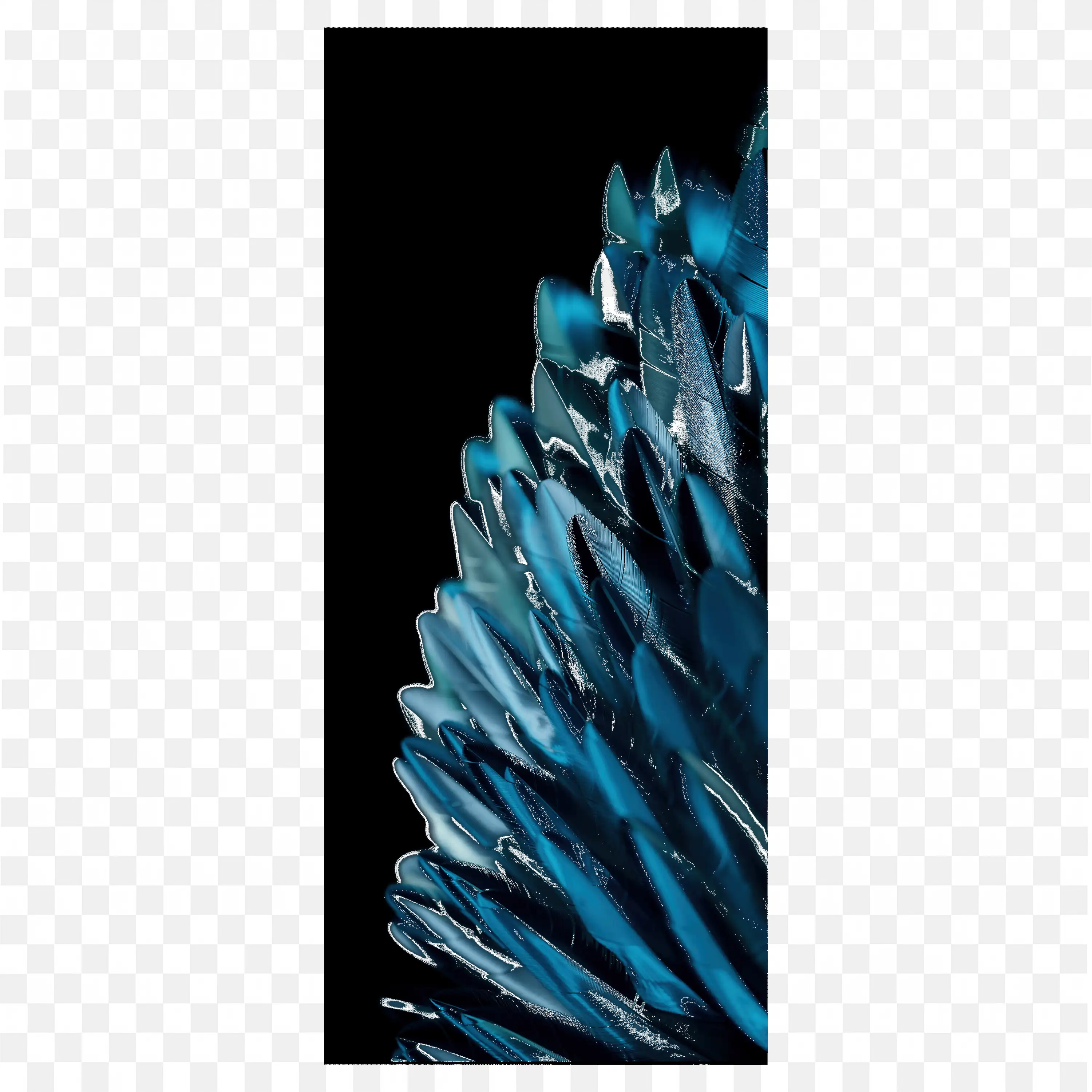 Close Up of Shiny Blue Feathers Clip Art Free PNG Image