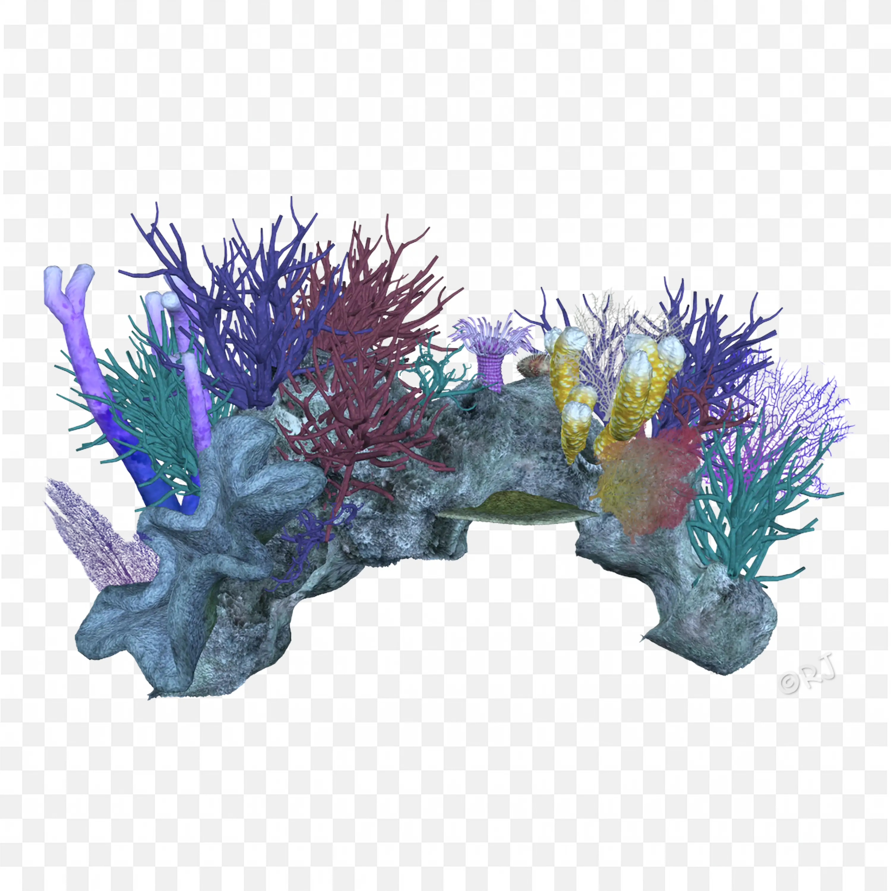 Colourful Underwater Coral Reef with Sea Creatures PNG