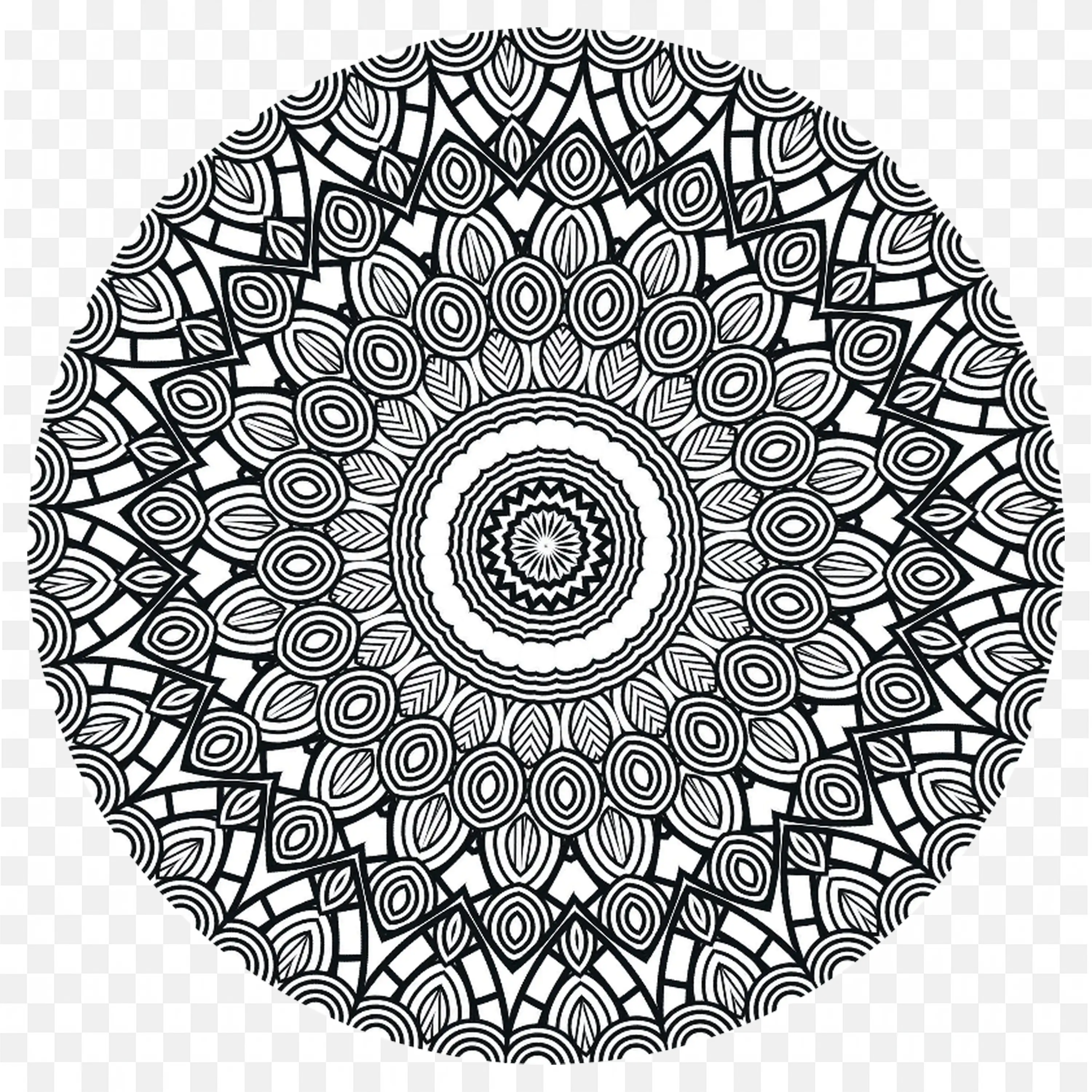 Detailed Black and White Circular Mandala with Fine Lines