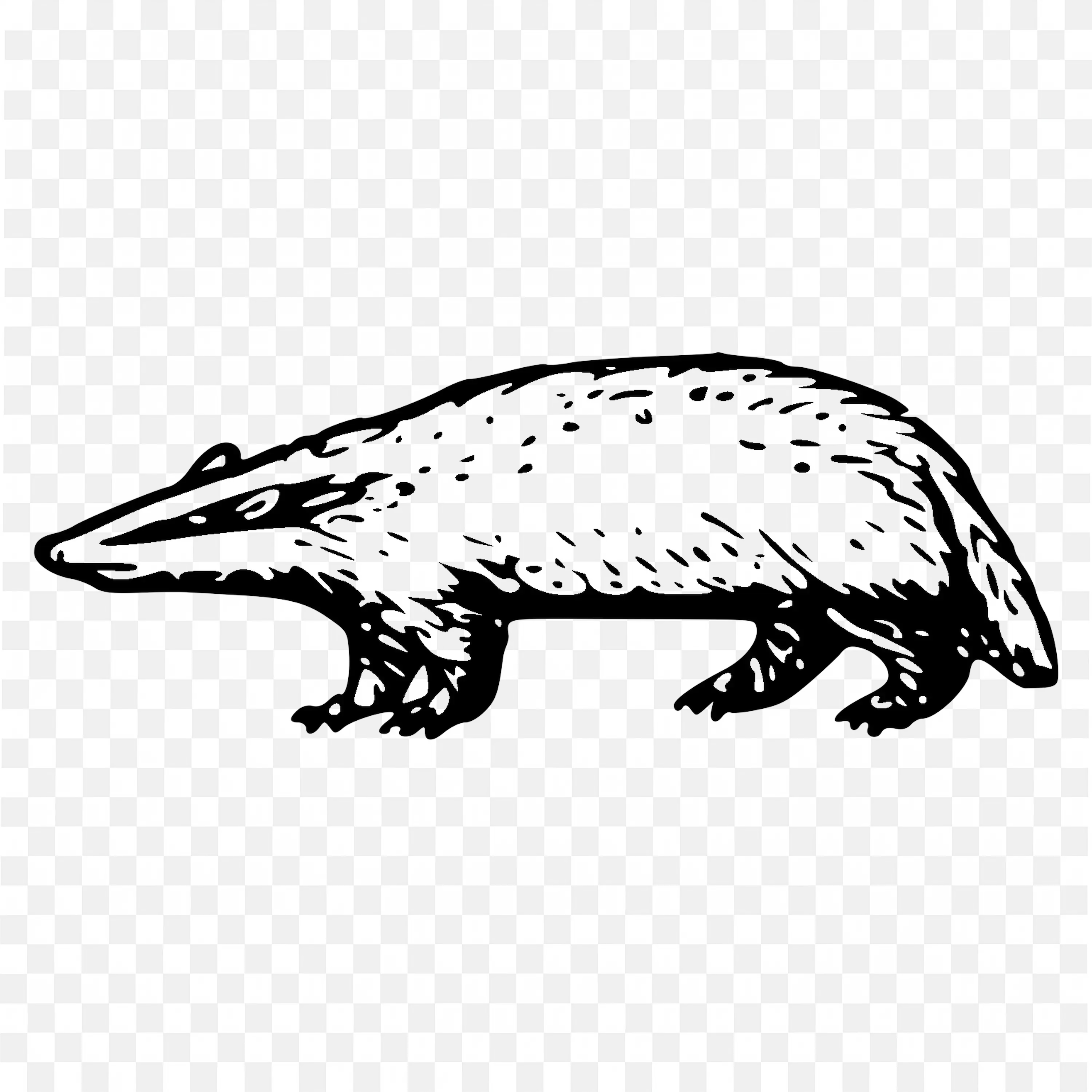 European Badger Static Pose Outline Png Images for Free