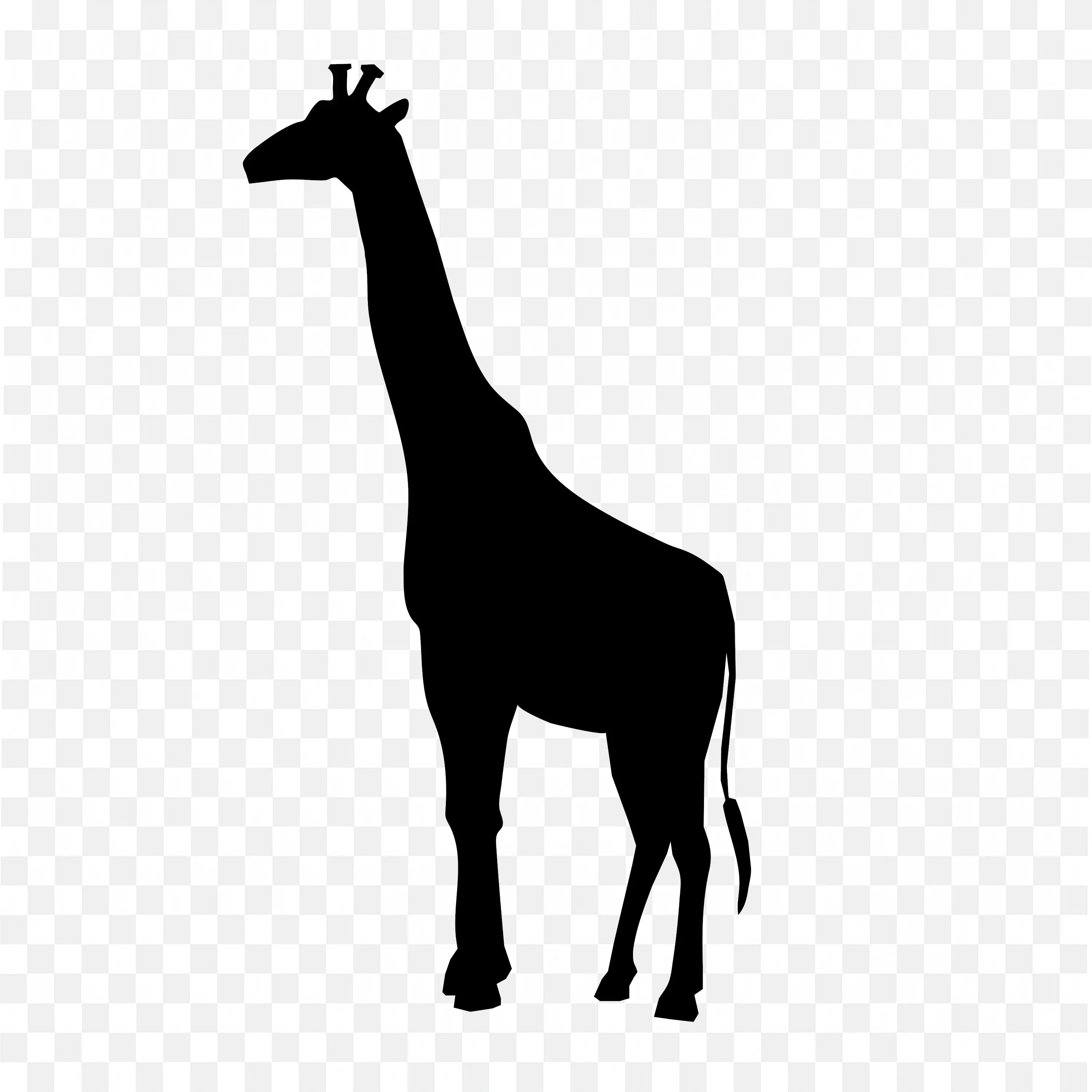 Giraffe Mammal Outline High Quality Download Free Png Image