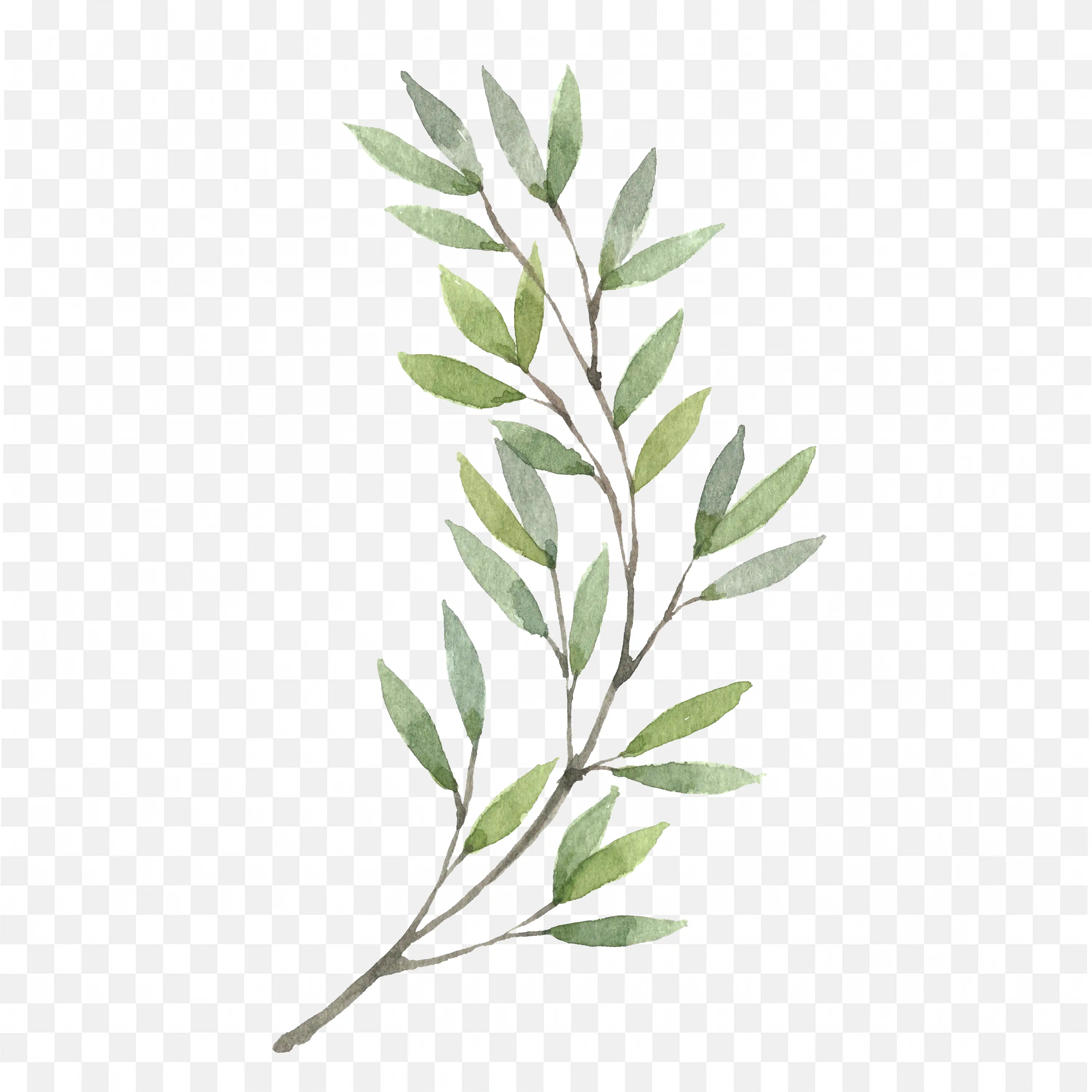 Green Leafy Branch Watercolour Artwork Image Clip Art