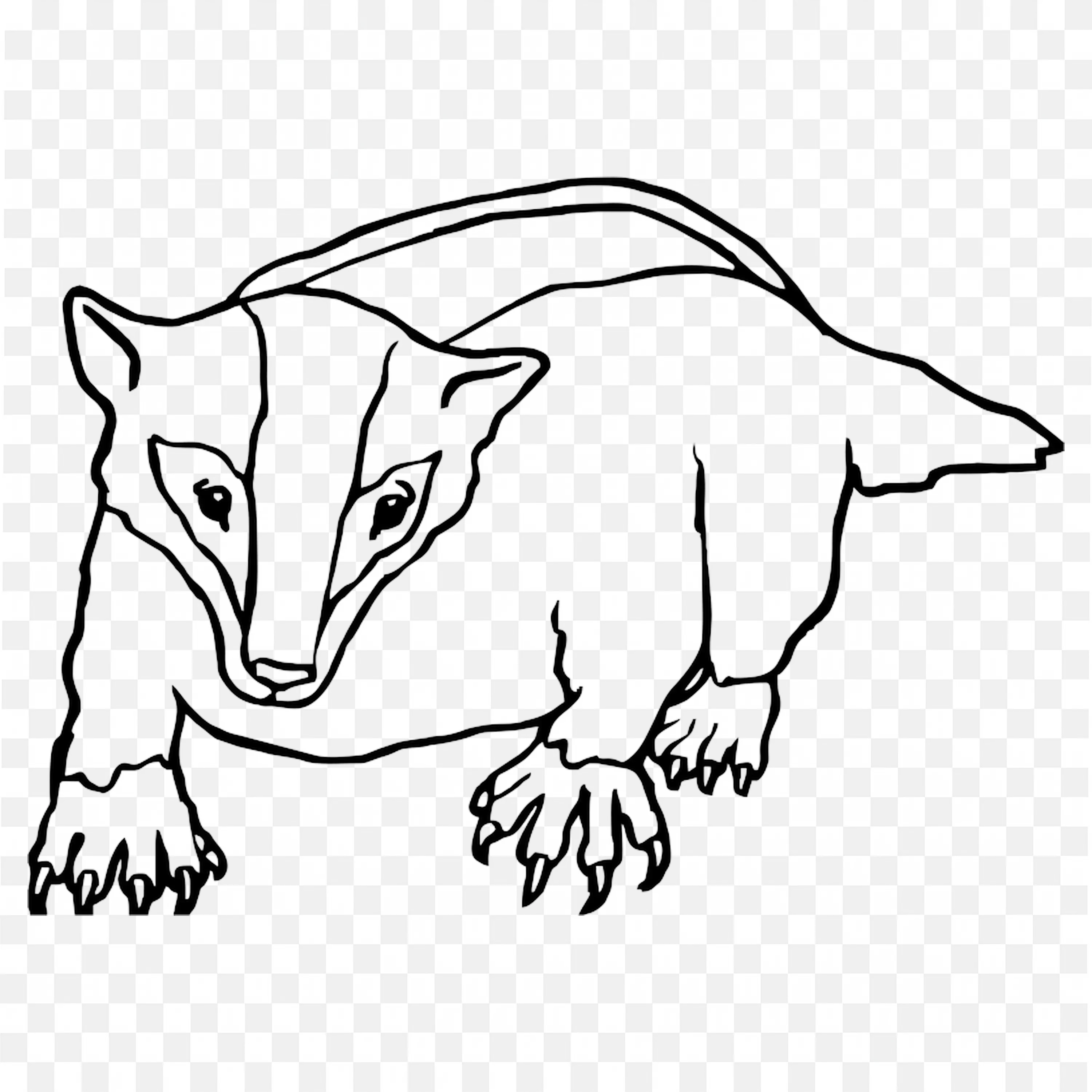 Honey Badger with Sharp Nails And Calm Look Free Png Image