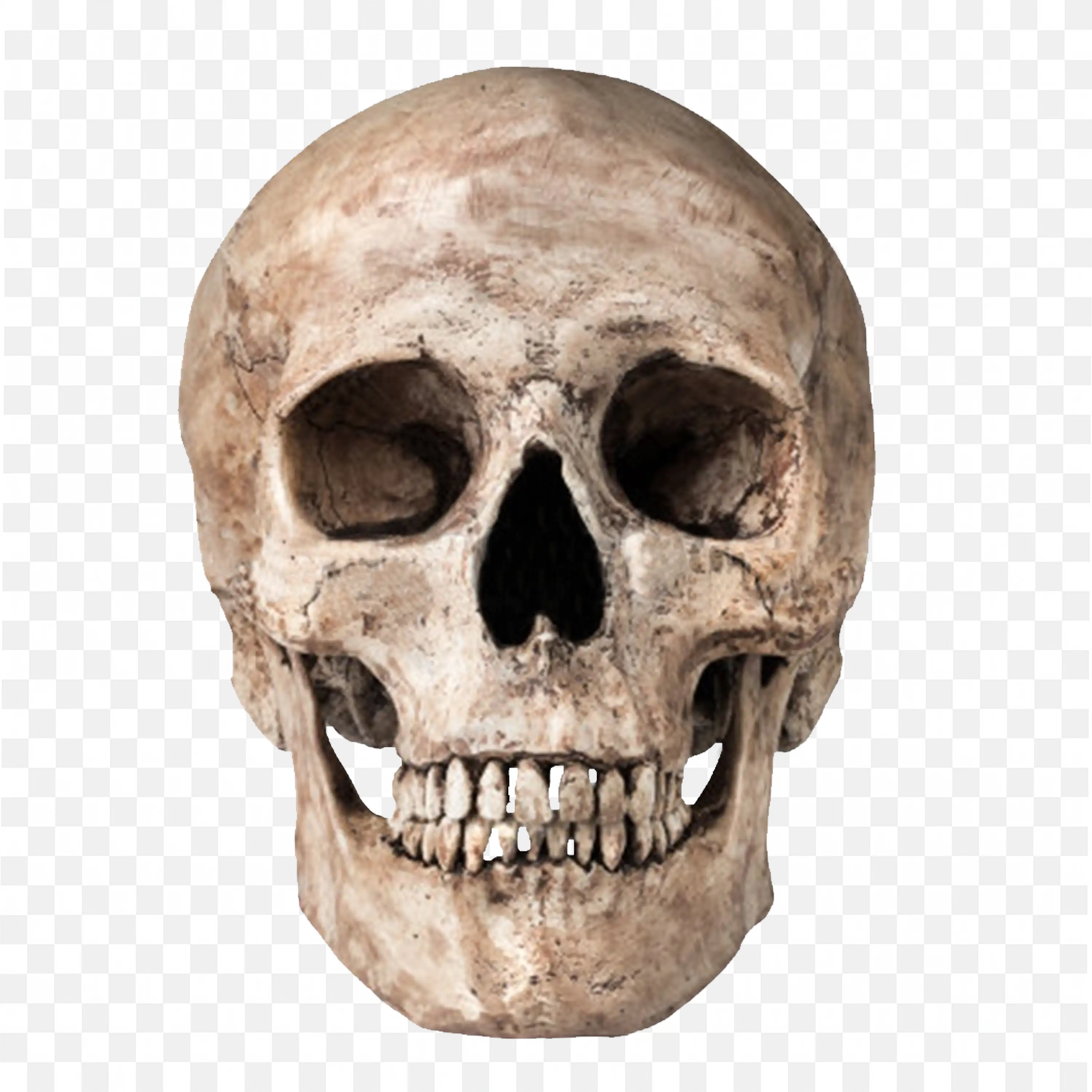 Human Skull Front View with Teeth and Eye Sockets Free PNG