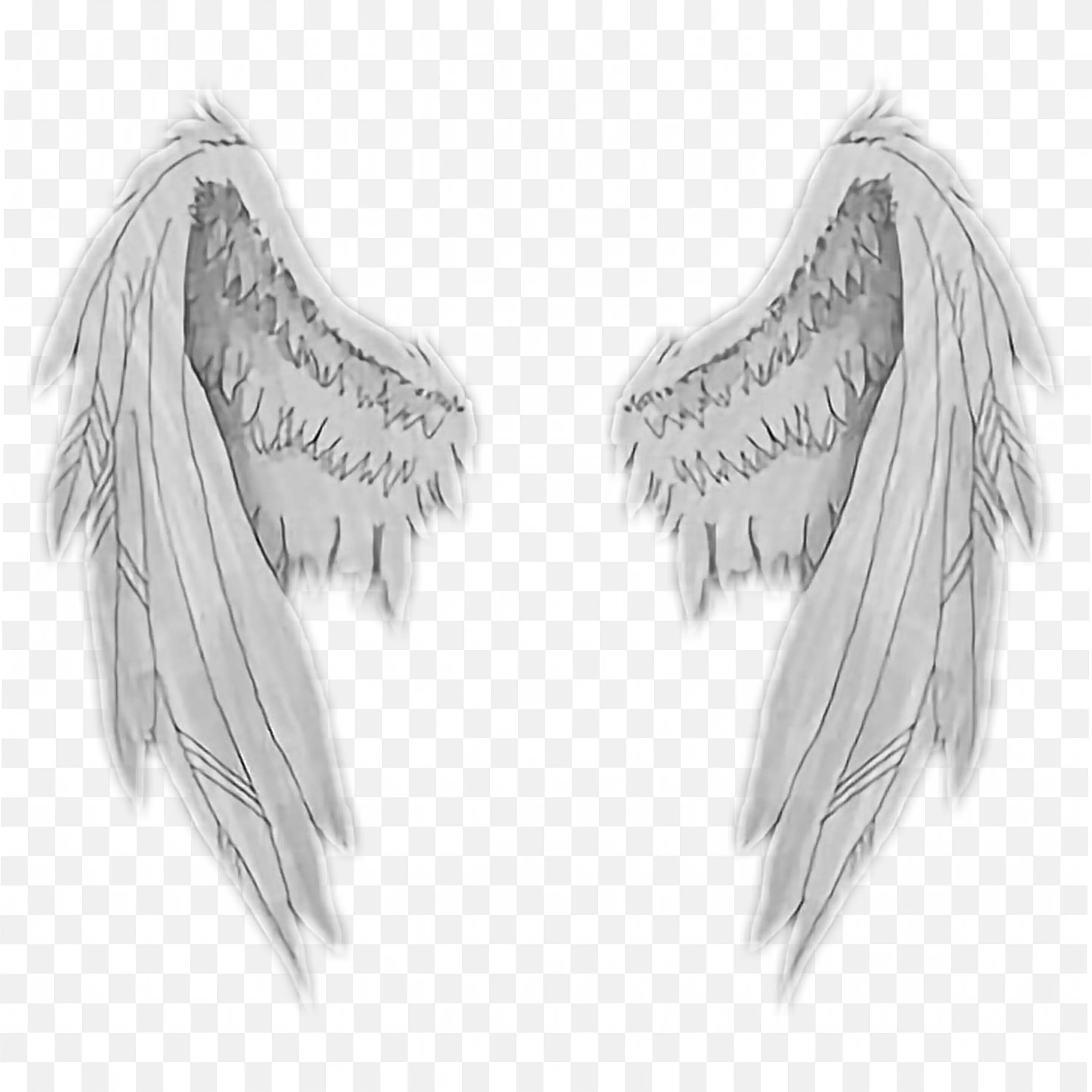 Light Gray Angel Wings with Fine Feather Details Free PNG