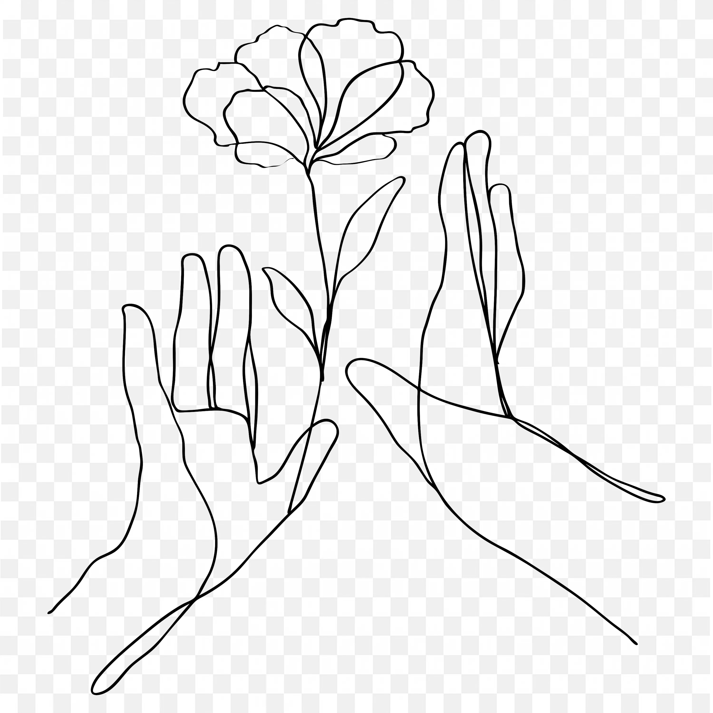 Line Art Hands Holding Flower Sketch Free PNG Image Download