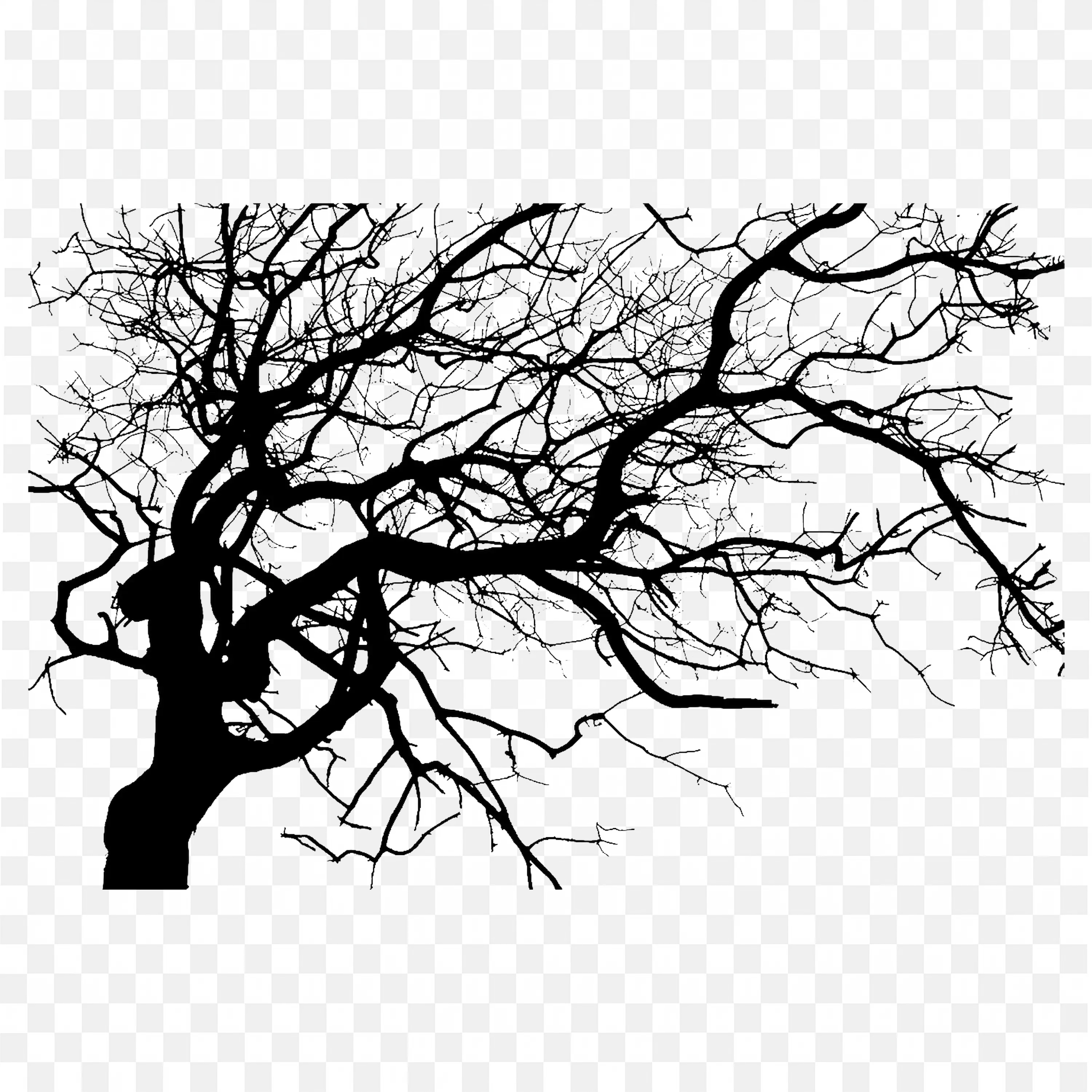Outline of a Tree with Leafless Branches Clip Art Free PNG