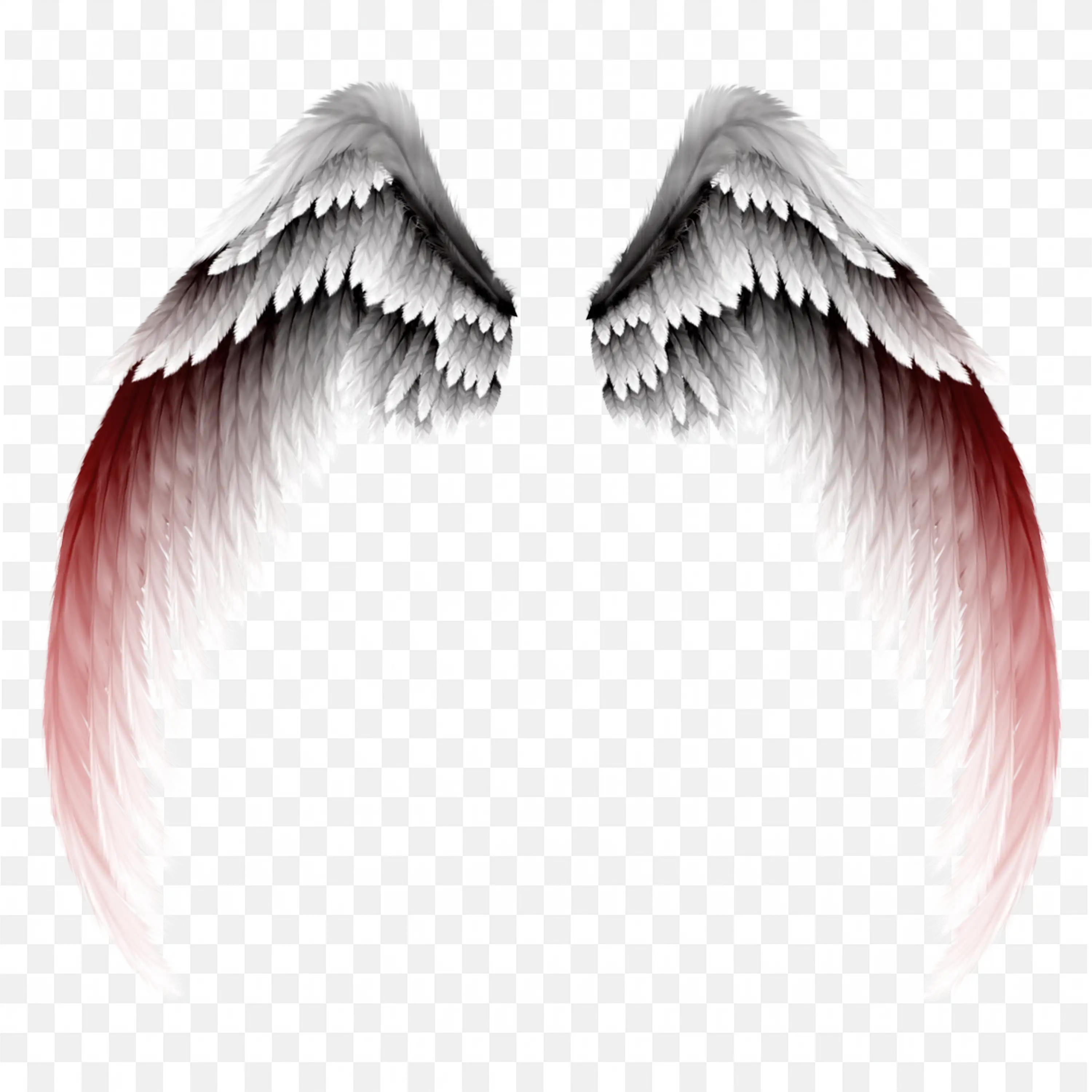 Realistic Angel Wings with Black and Red Feather Details