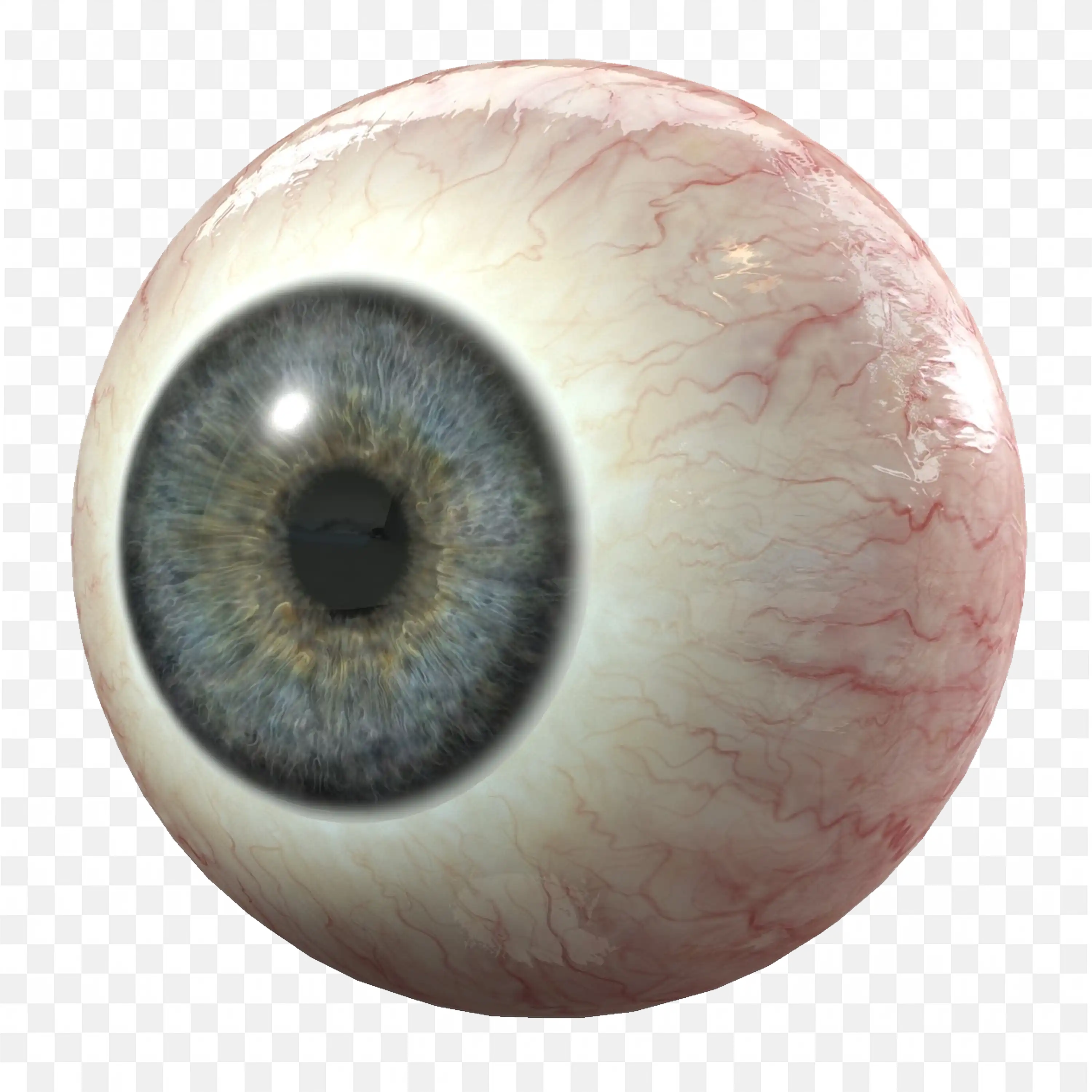 Realistic Eyeball with Blue Iris and Visible Veins PNG Image