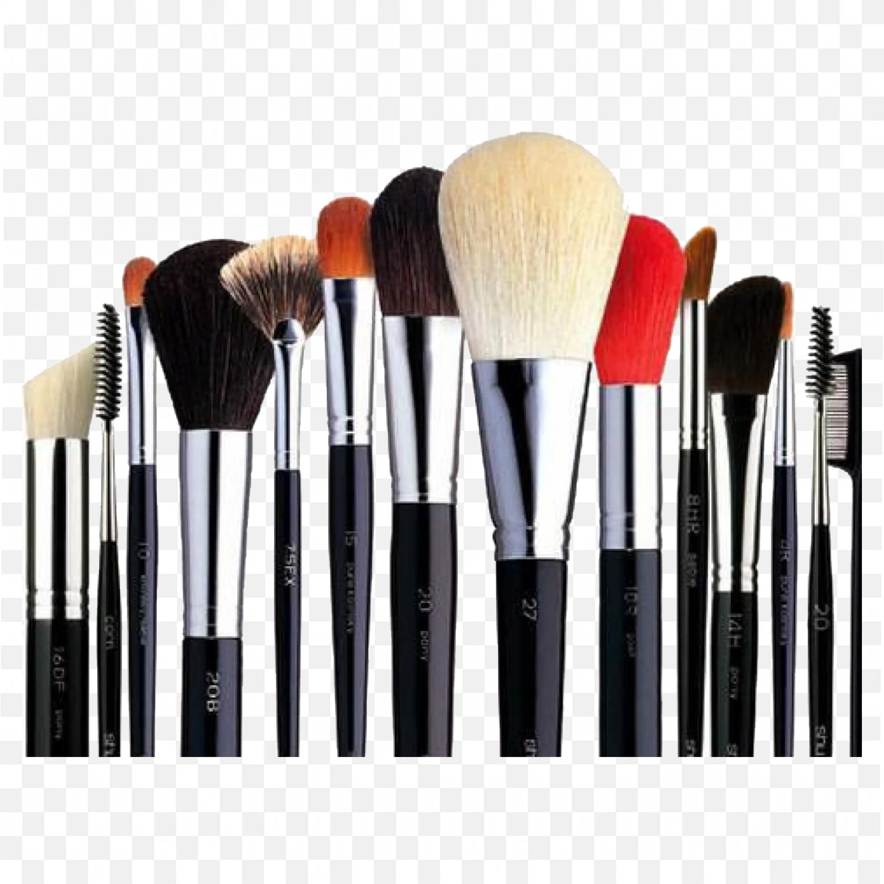 Set of Makeup Brushes with Black Handles and Bristles
