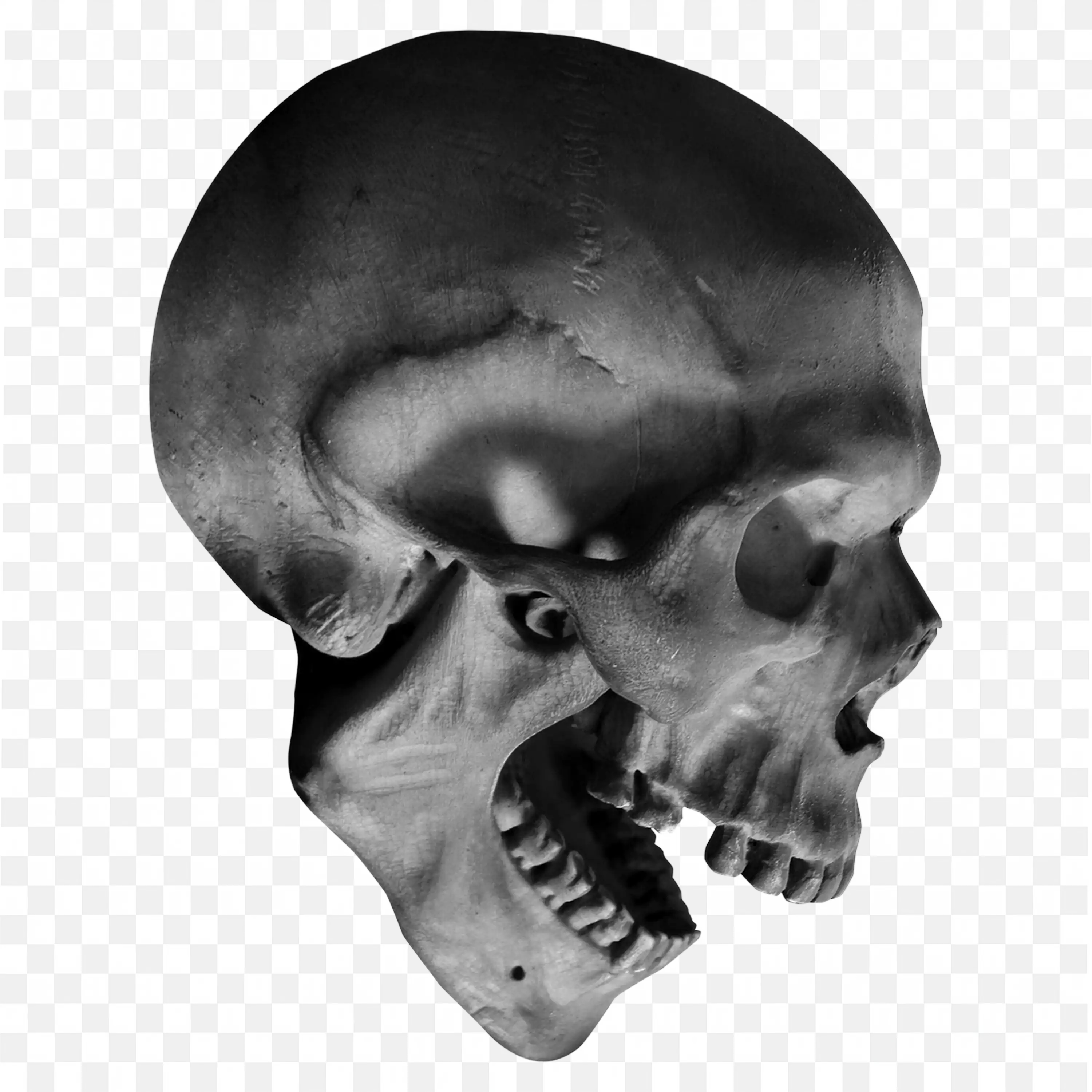 Side View of Realistic Human Skull with Open Mouth PNG Image