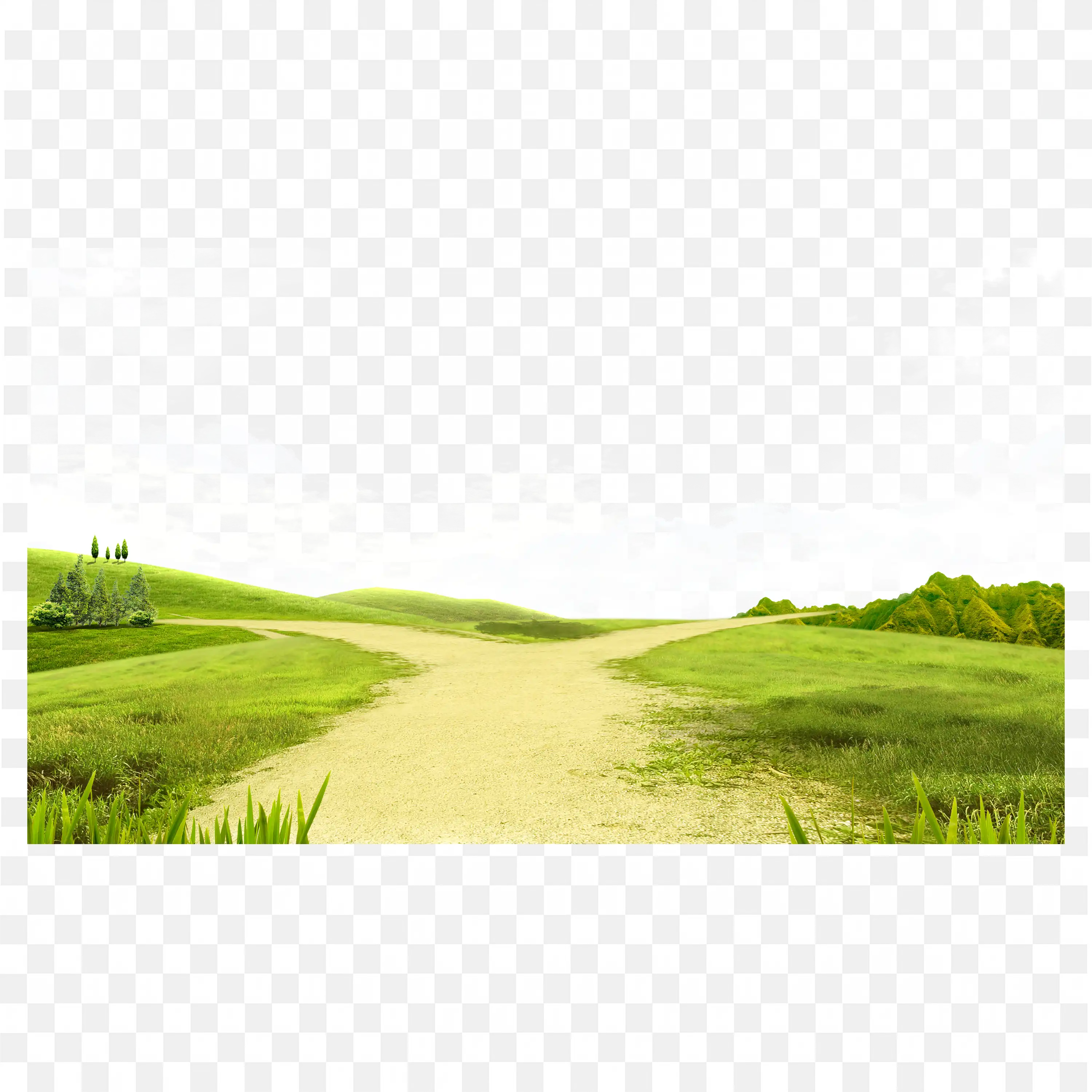 Sunny Landscape with Green Grass and a Walking Path PNG