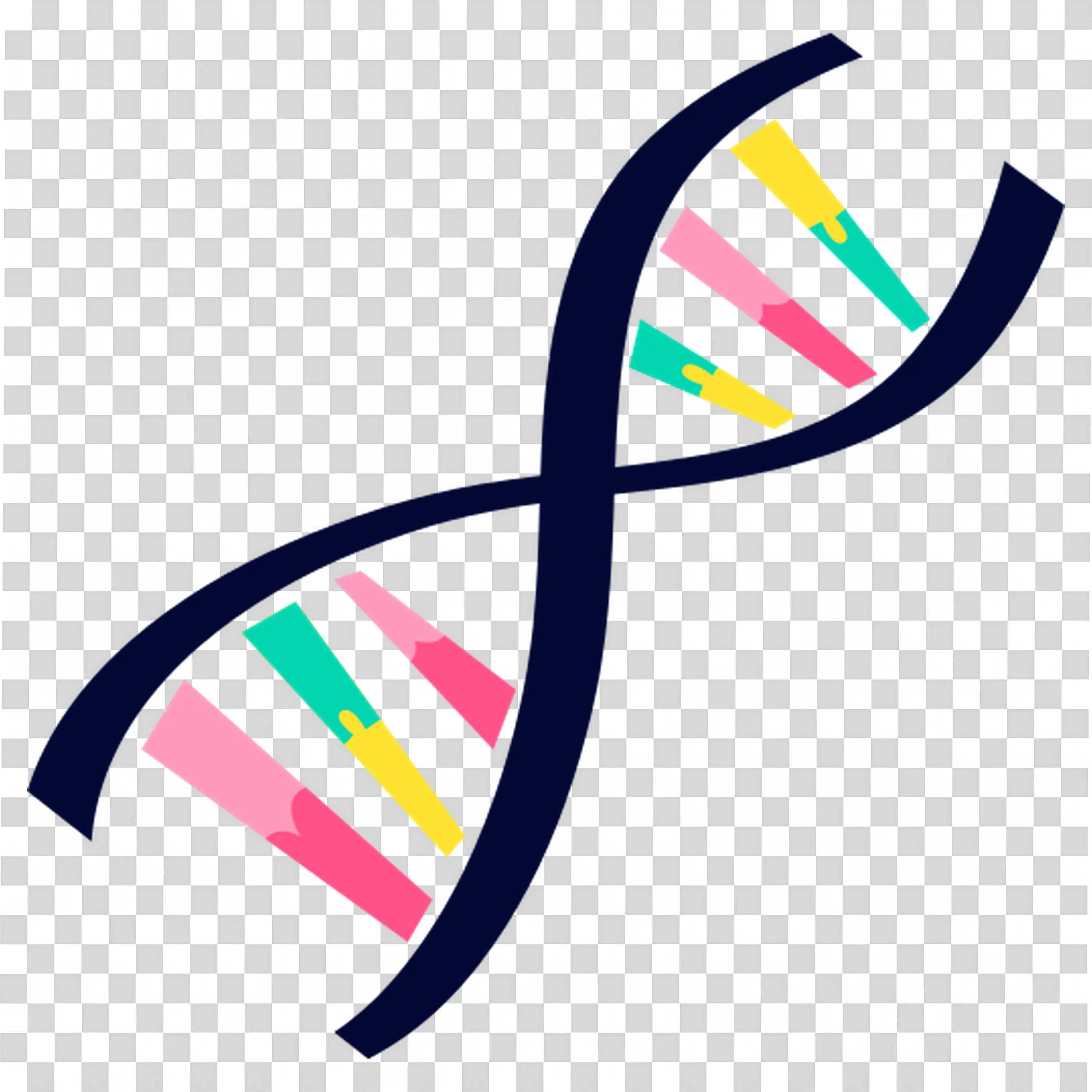 Colourful Dna Structure and Function in Genetics PNG Image