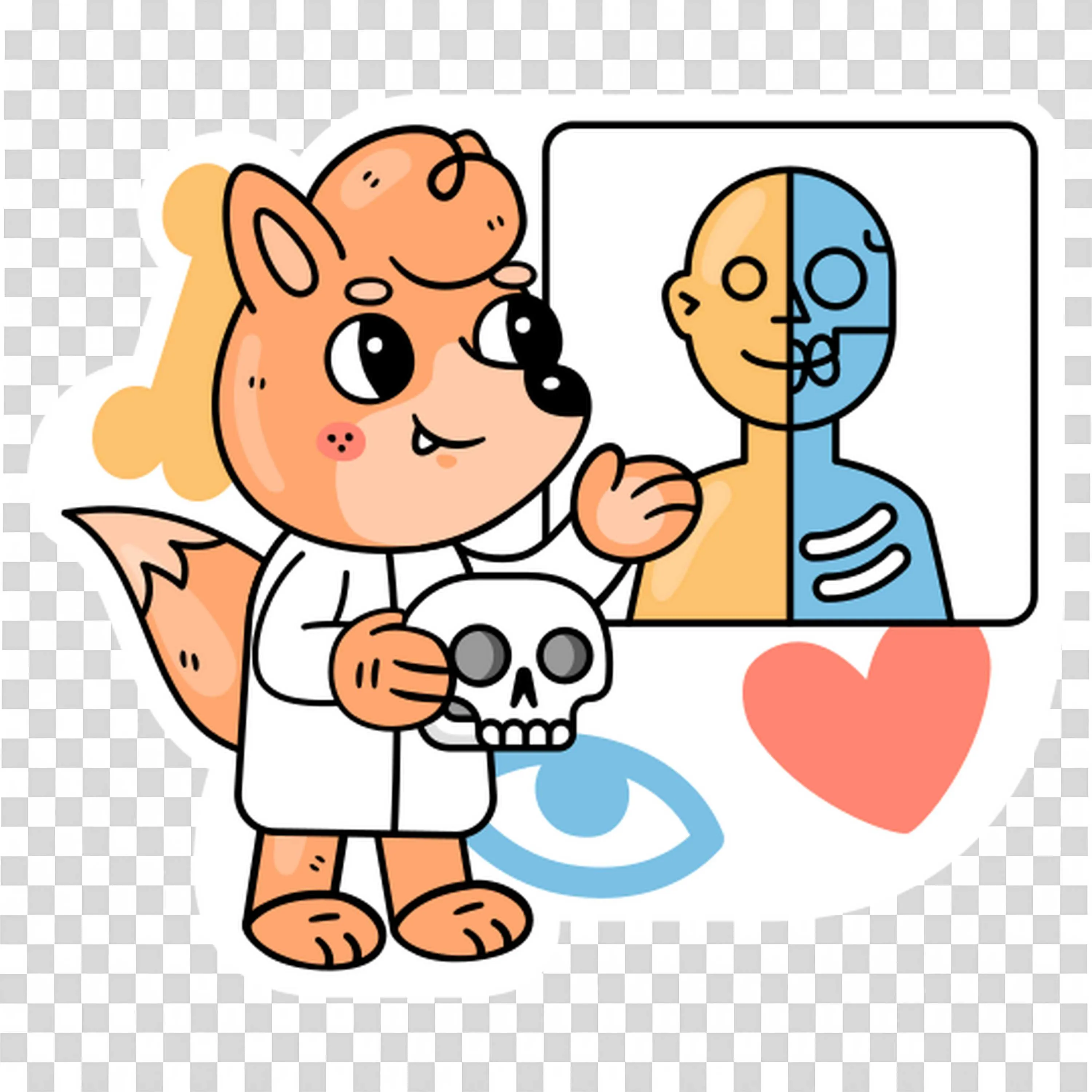 Fox Wearing a White Coat and Holding a Skull and X Ray PNG Image