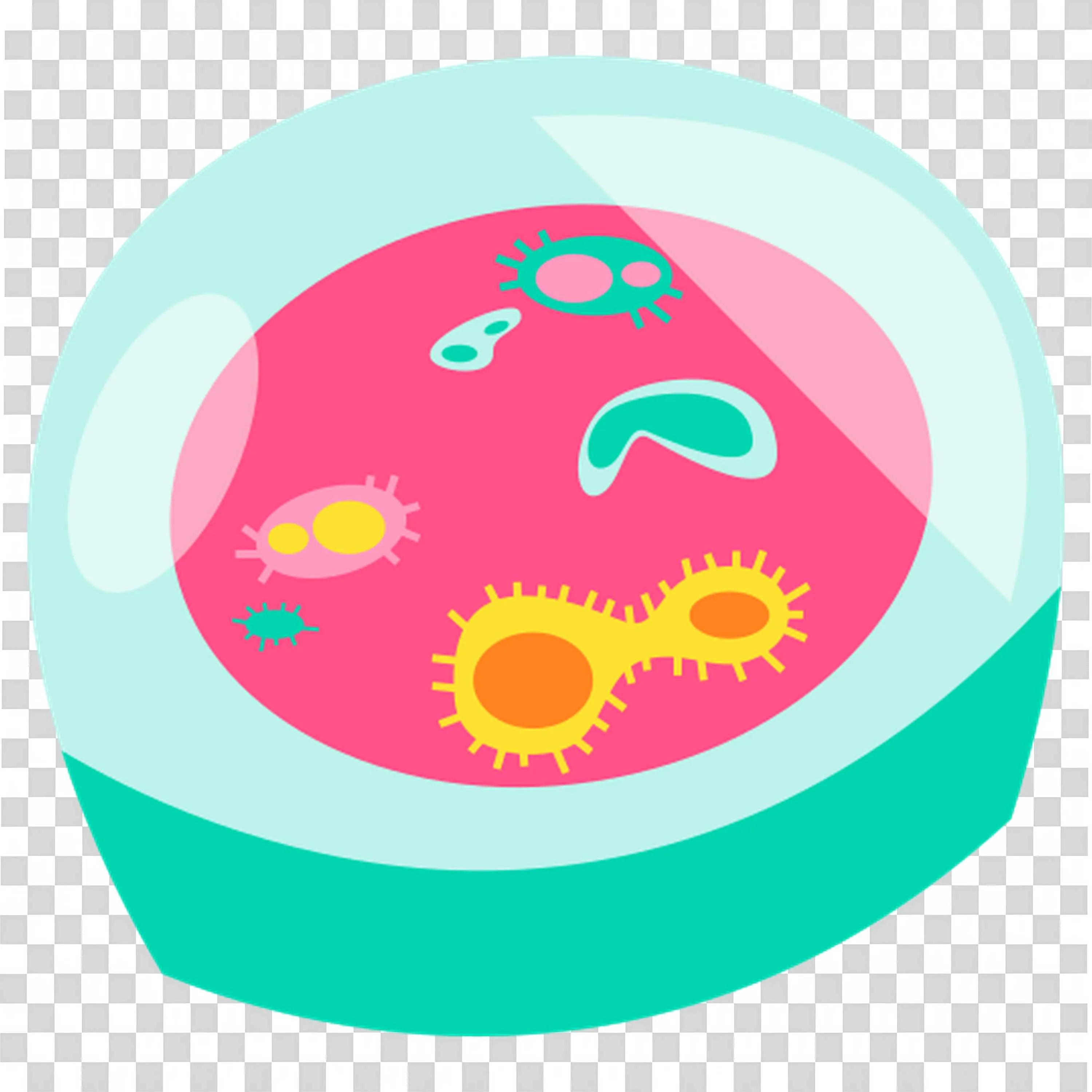 Microscopic View Of Cells Inside a Circular Petri Dish Png