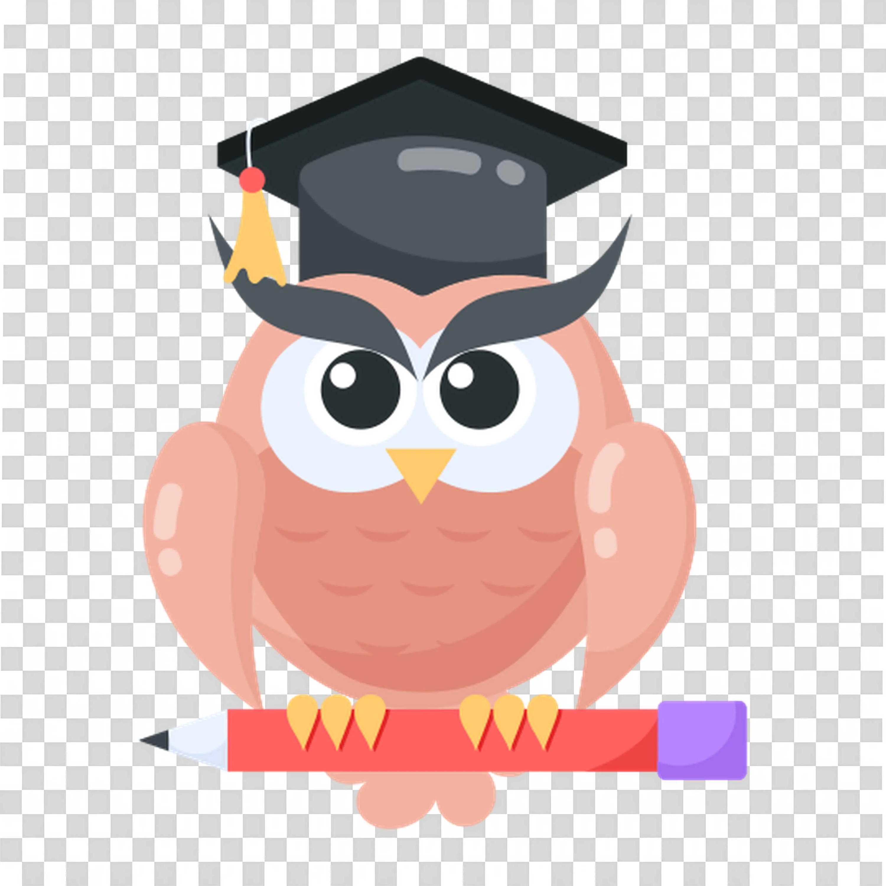 Owl Wearing a Graduation Cap Sitting on a Pencil Cartoon