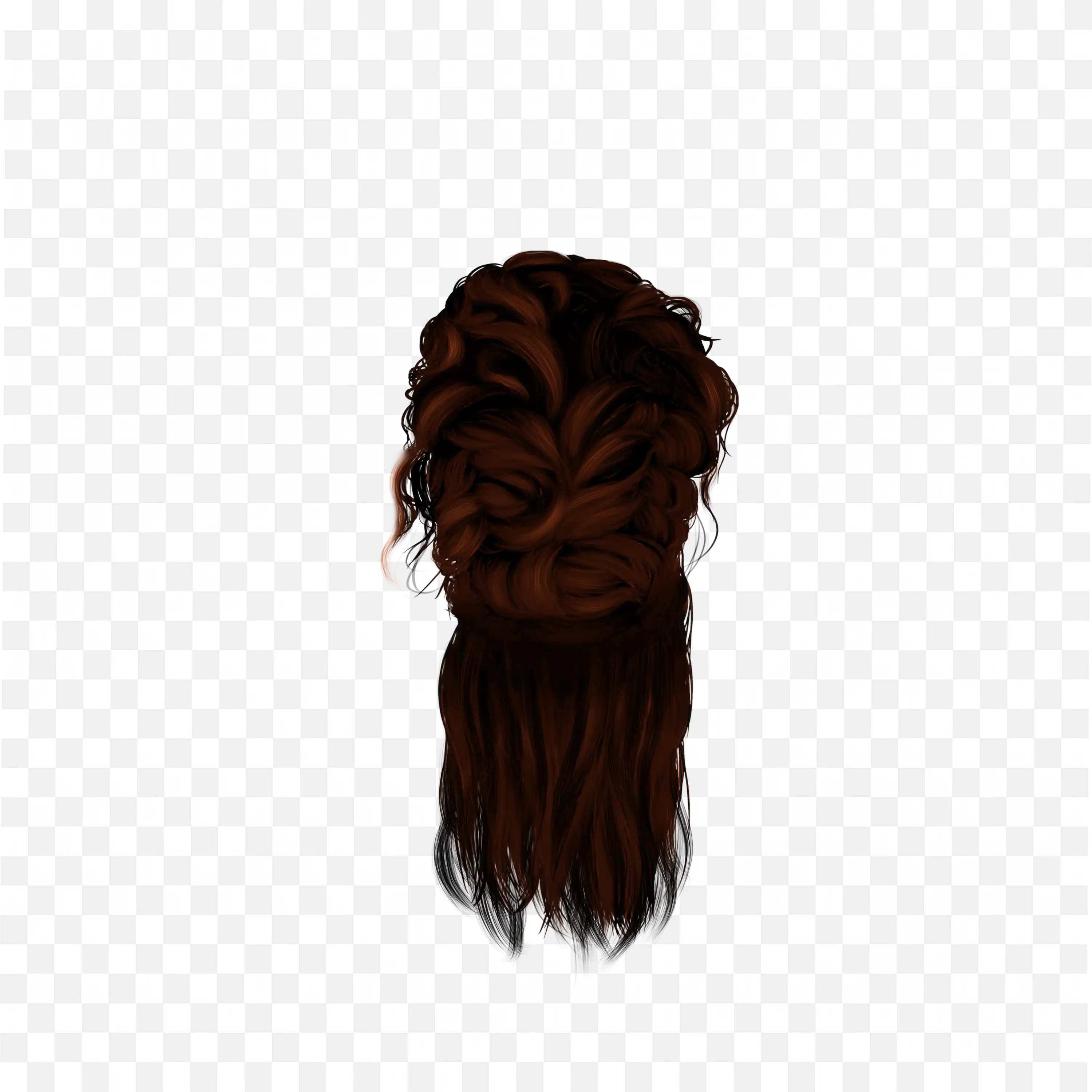 Back View of a Brown Braided Bun Hairstyle Png for Free