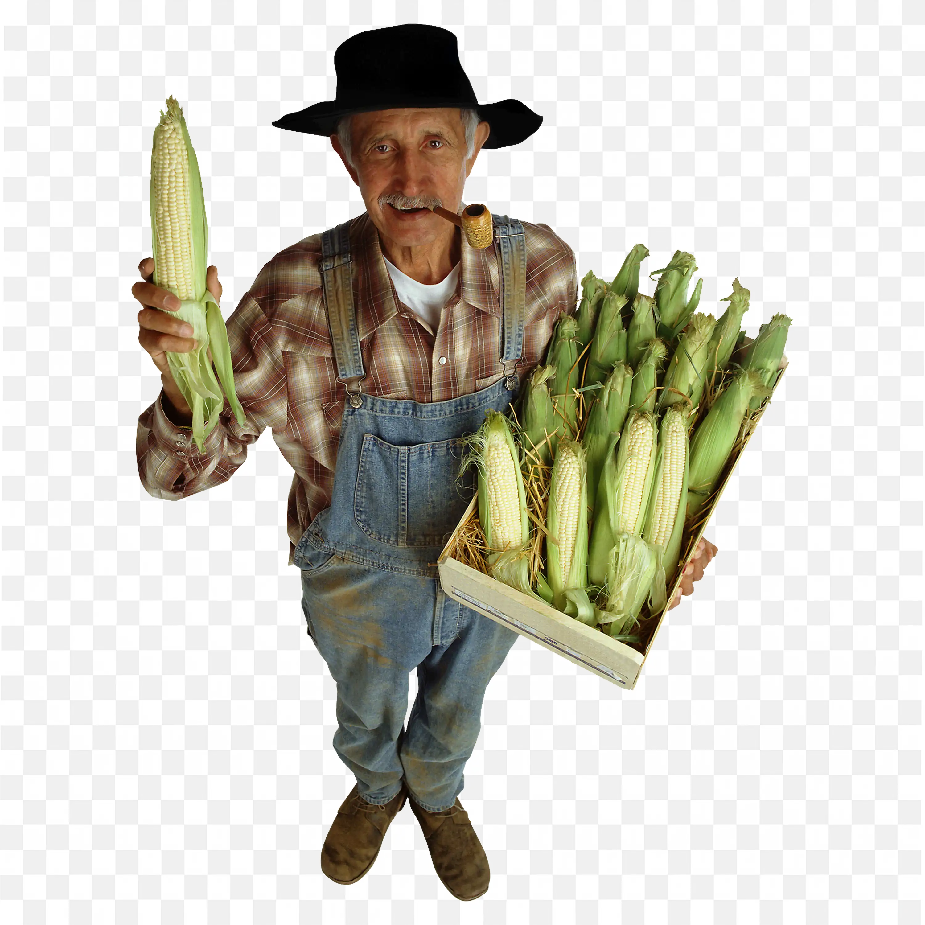 Farmer in Line Shirt and Hat Holding a Tray of Corn Png
