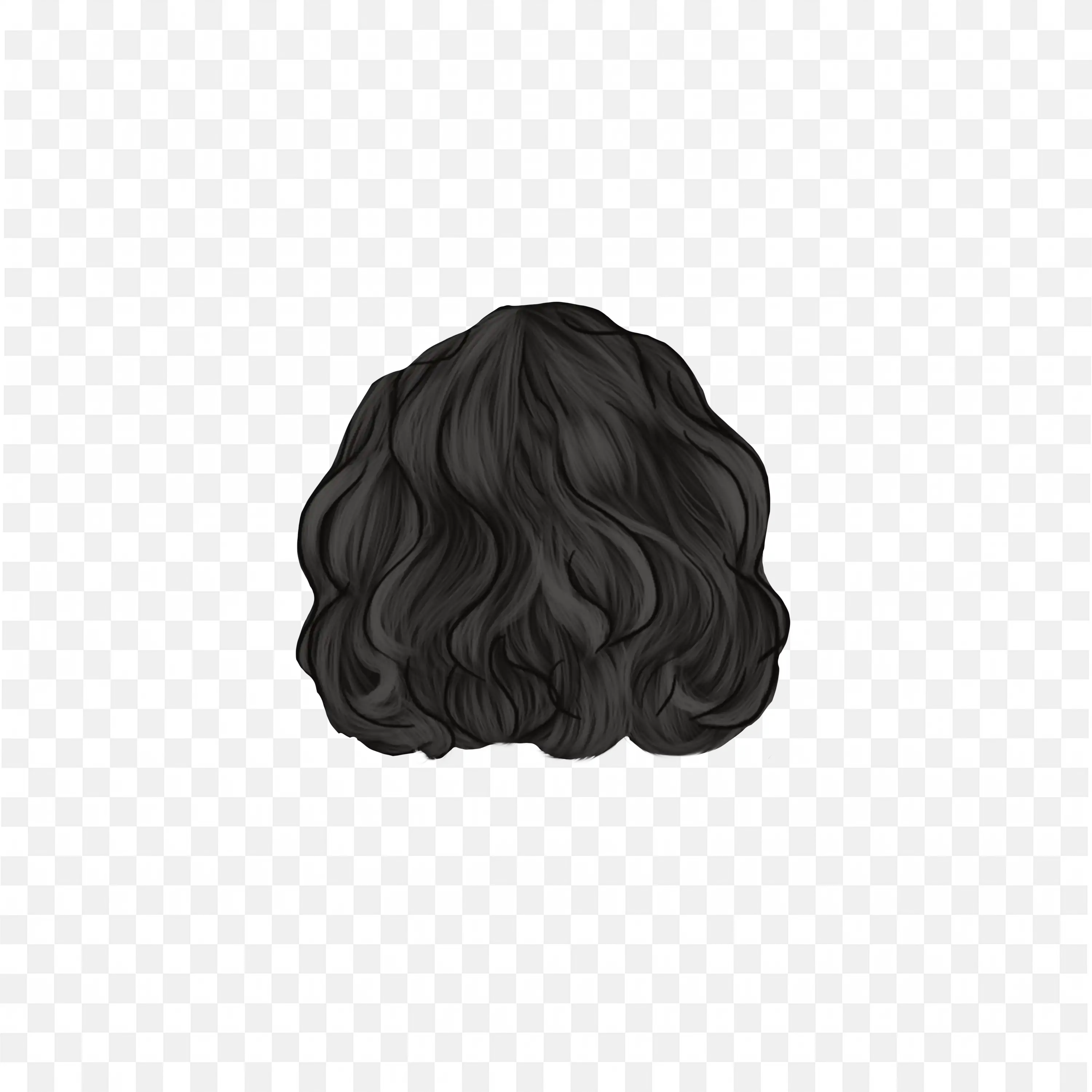 Download the Gray Short Curly Hair from Back Free Image