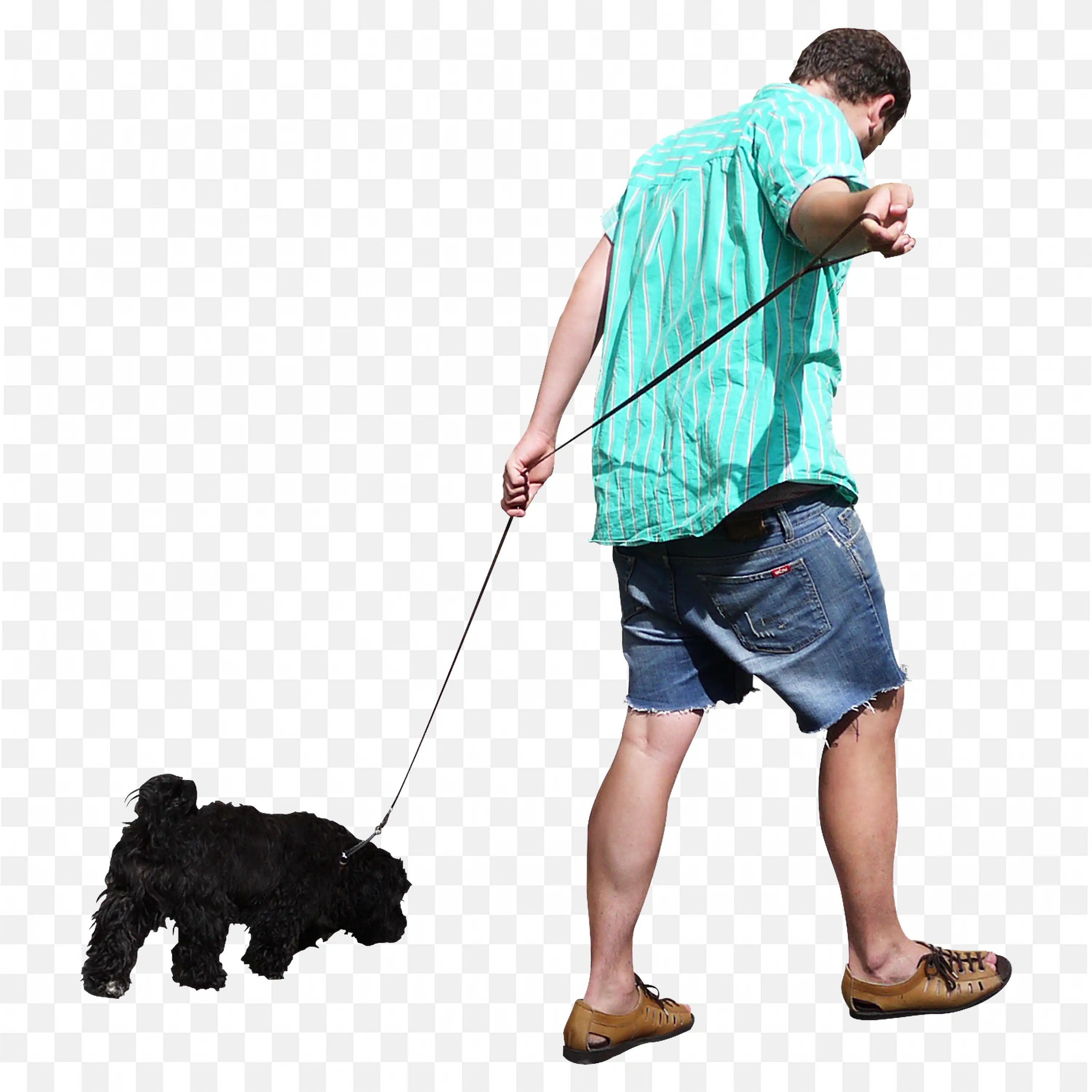 Man with Casual Shorts and Shirt Walking with Dog Free Png